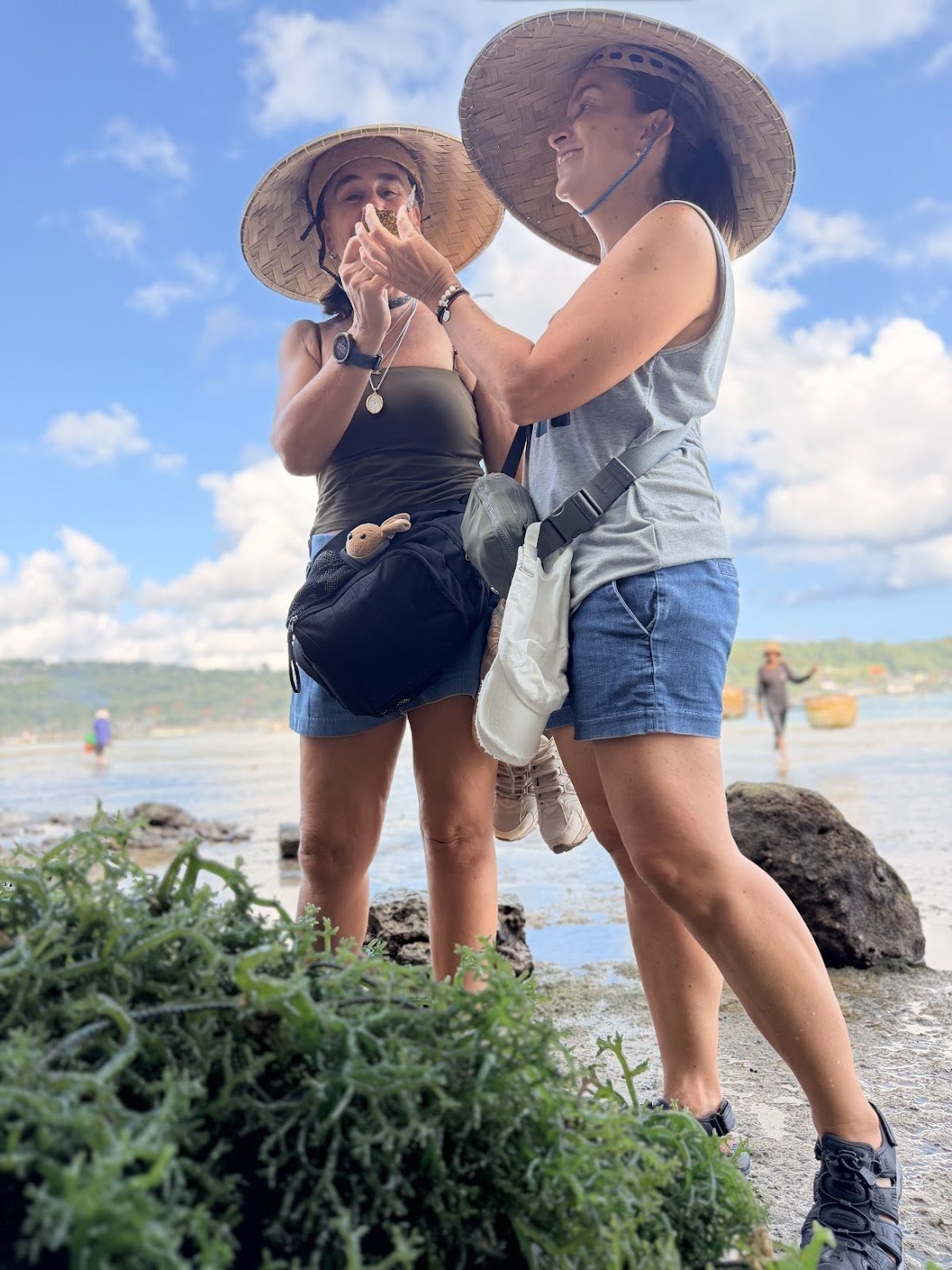 seaweed_farm_lembongan_travelynne.jpg