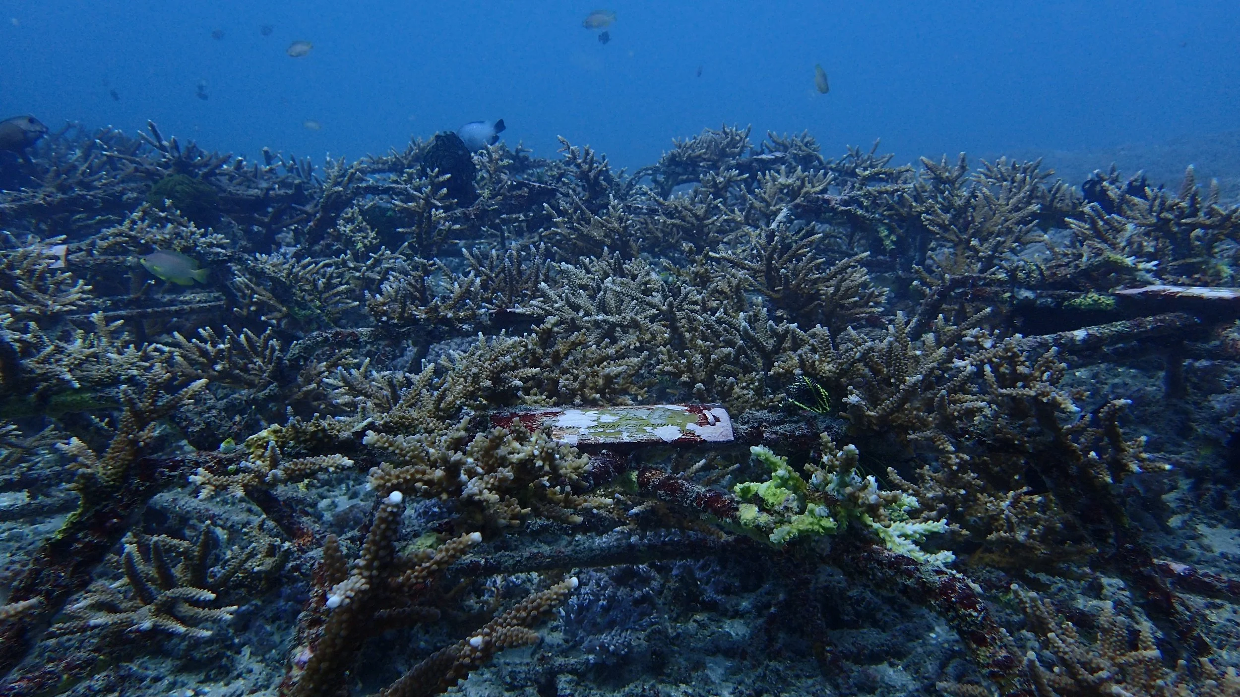 08-P8150157.JPG