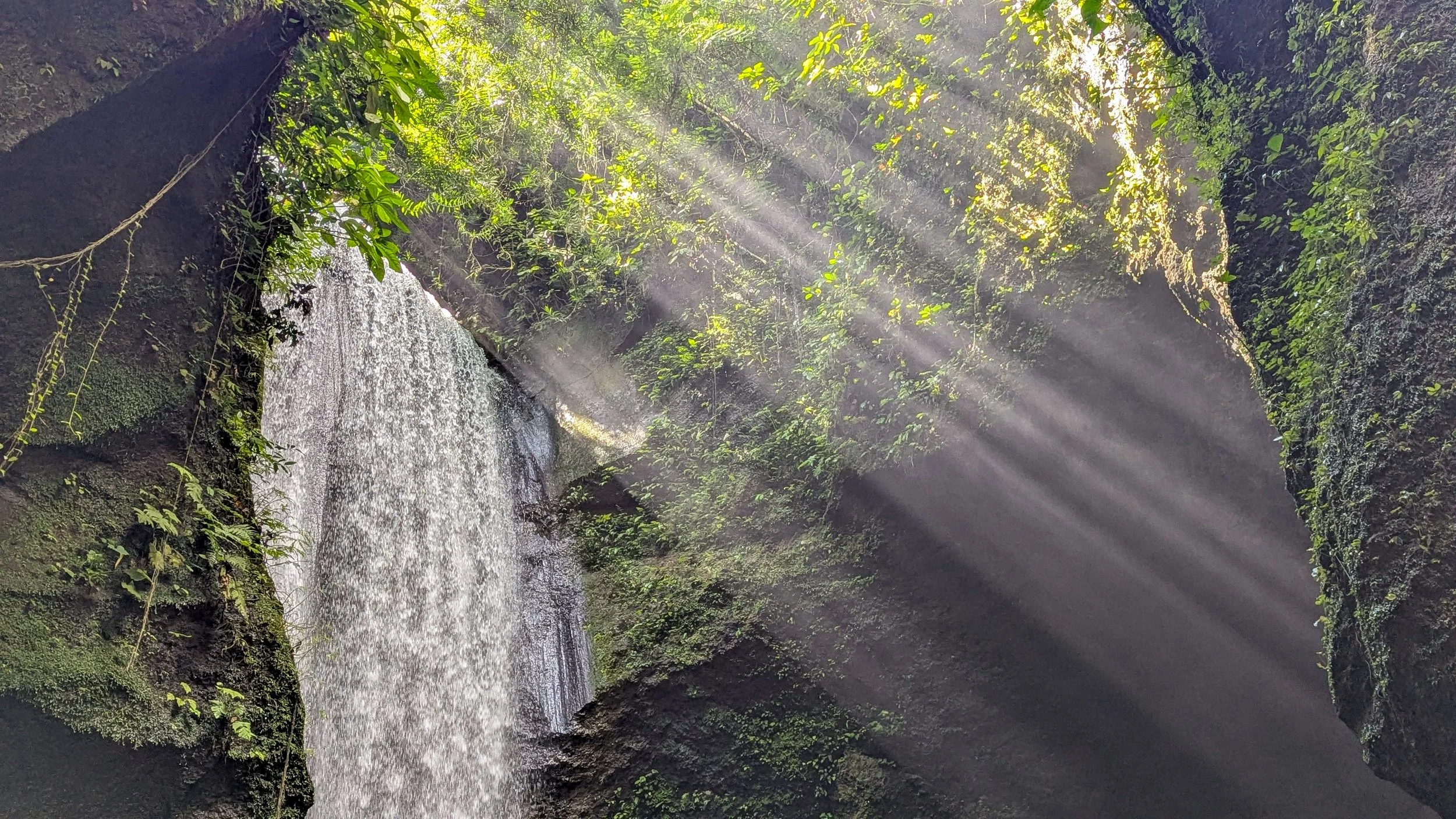 PXL_20250605_042332337.PORTRAIT.ORIGINAL.jpg (Copy)