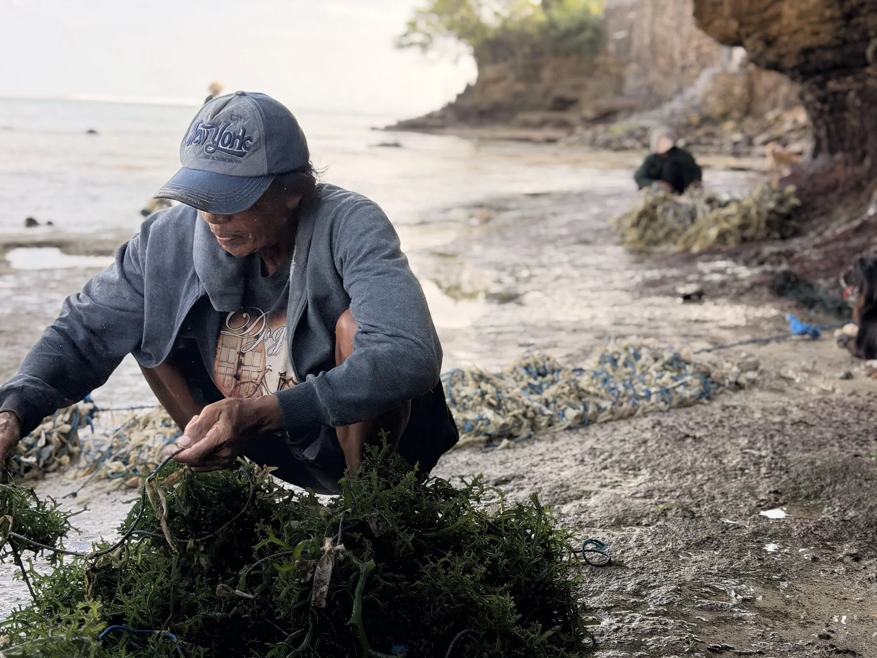nusa_lembongan_seaweed_farm_3_travelynne.jpg
