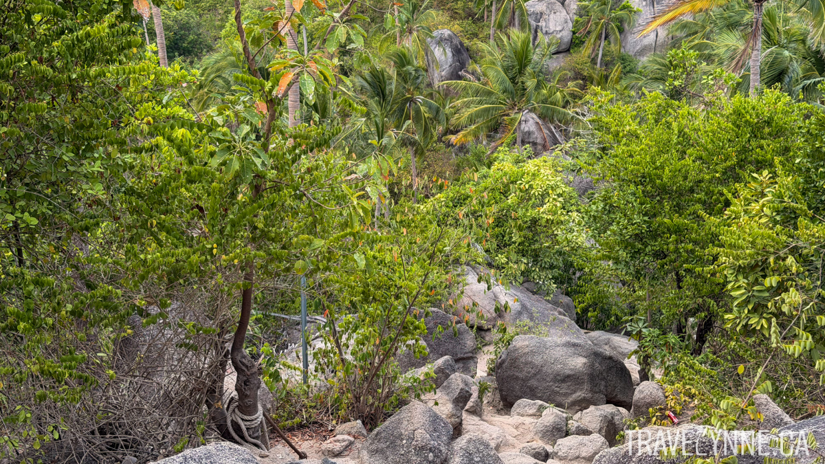 Large grey rocks form a trail among bushes and palm trees on the John-Suwan Viewpoint trail