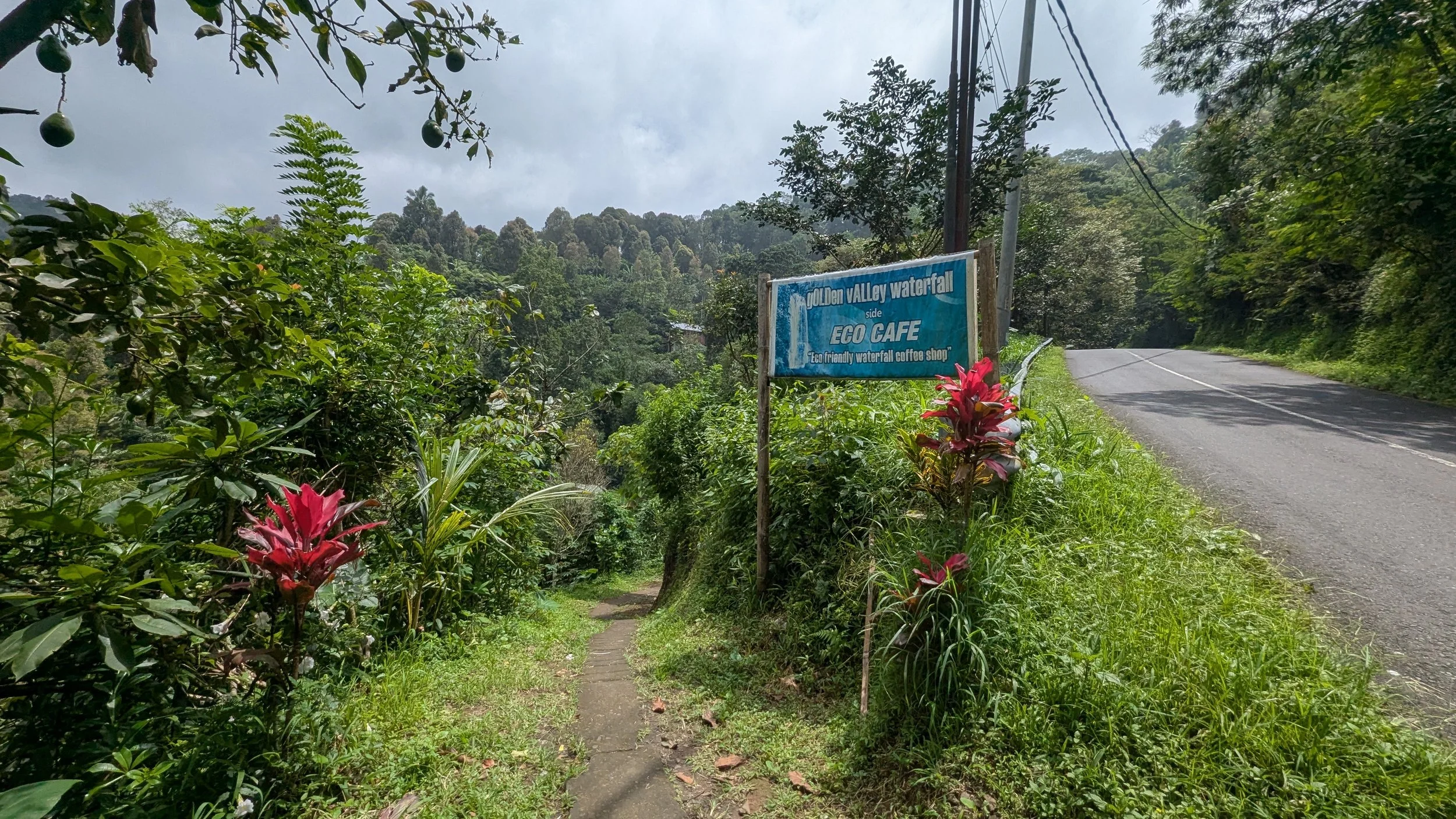 A sign shows the entry point for Golden Valley Waterfall and Eco Cafe in Munduk, Bali, with a forest path to the left and the main paved road to the right