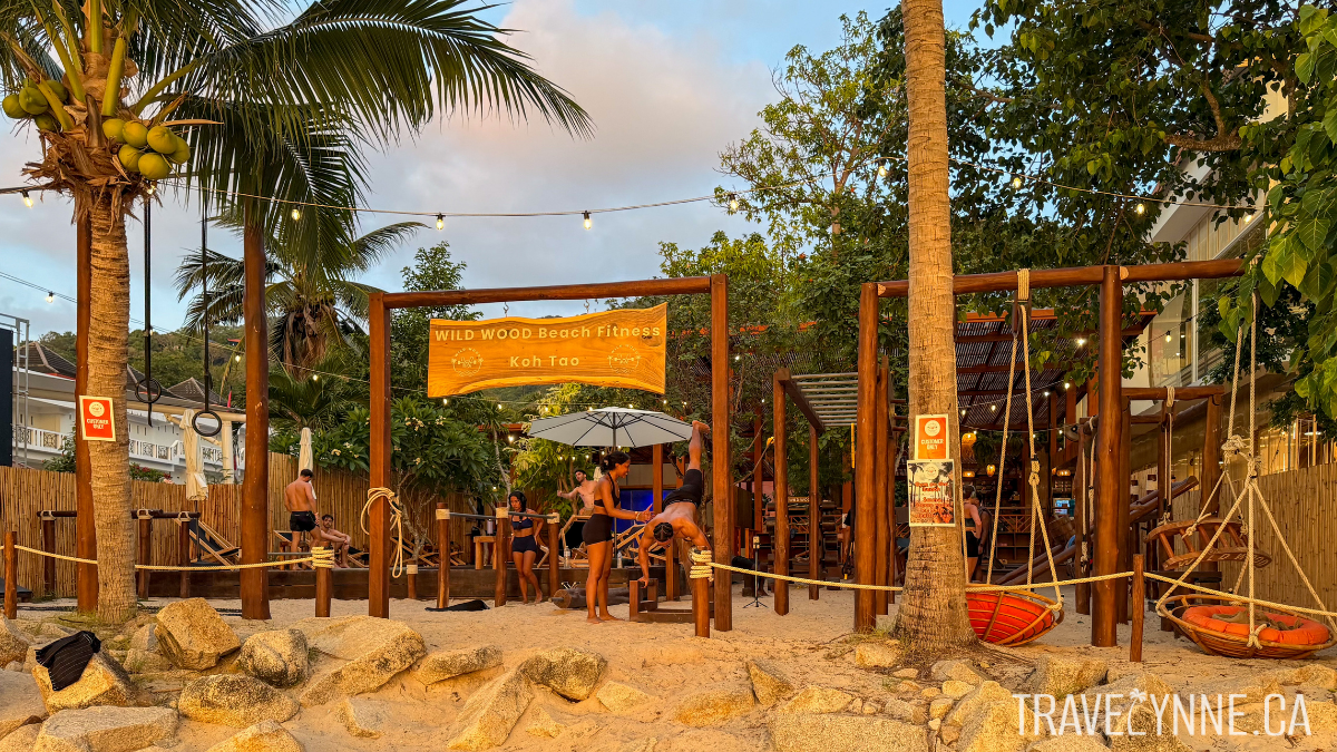 Taken from a beach, Wild Wood Beach Fitness Koh Tao is seen with a wooden arch and sign with its name and outdoor gym equipment all made of wood, in between palm trees.