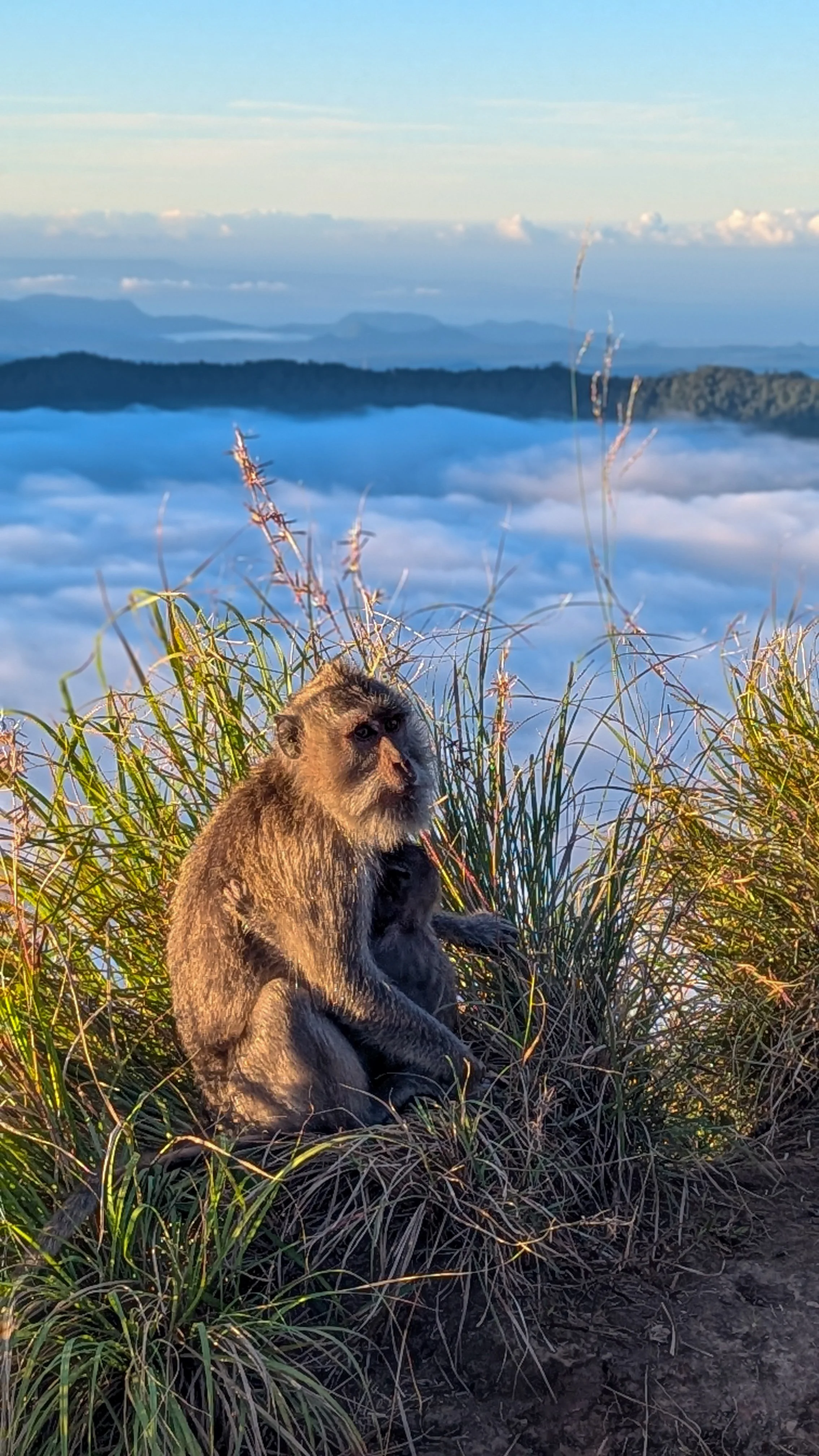 PXL_20250603_225112671.PORTRAIT.jpg (Copy)