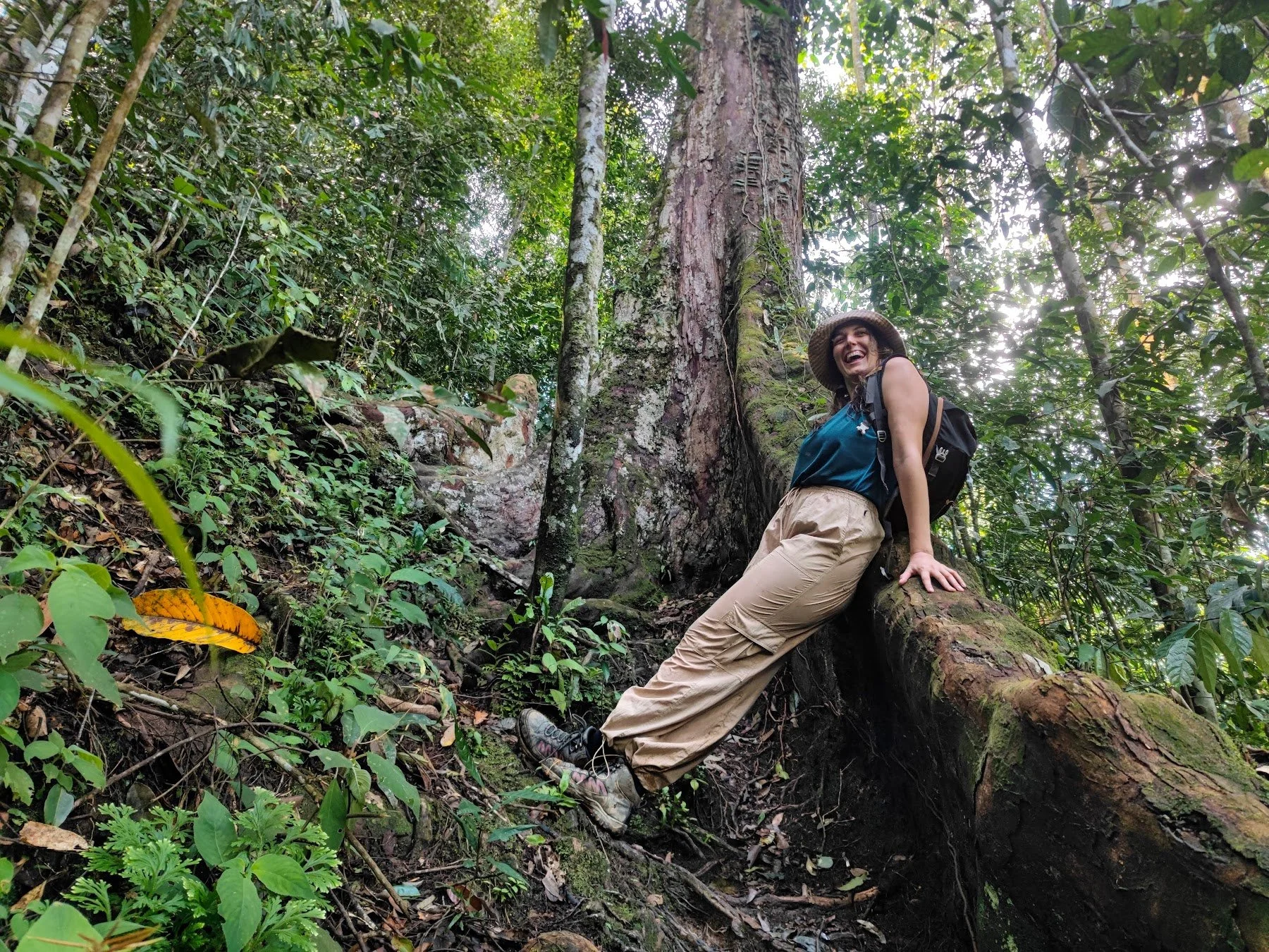 Trekking North Sumatra Travelynne.jpg
