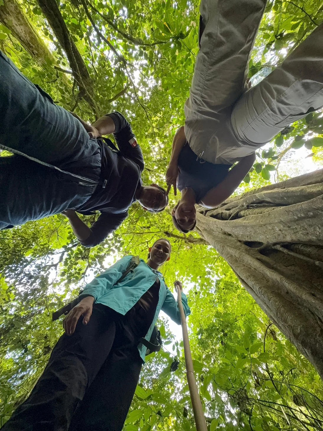 A local hiking guide and two visitors pose over camera on the ground, looking up towards the tall trees in the old forest