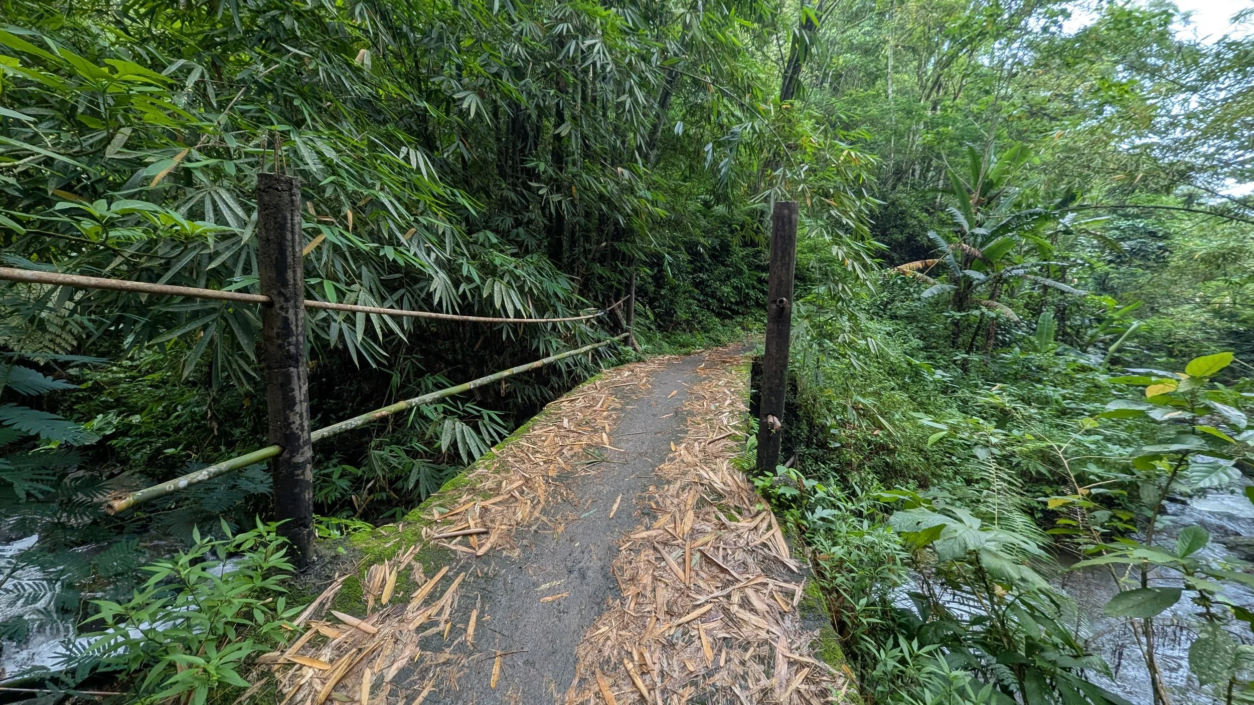 A concrete trail with wooden posts and rope to help visitors access waterfalls in the forests of Munduk