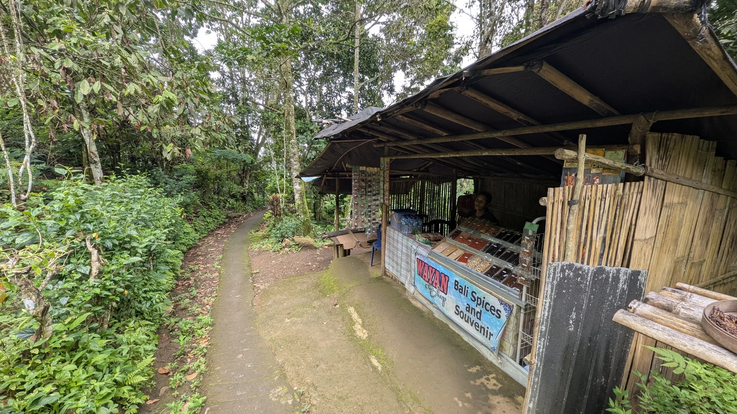 The forest path up from Red Coral Waterfall towards Golden Valley Waterfall has a stall called WAYAN Bali Spices and Souvenir, with a lady selling spices, water, and more.