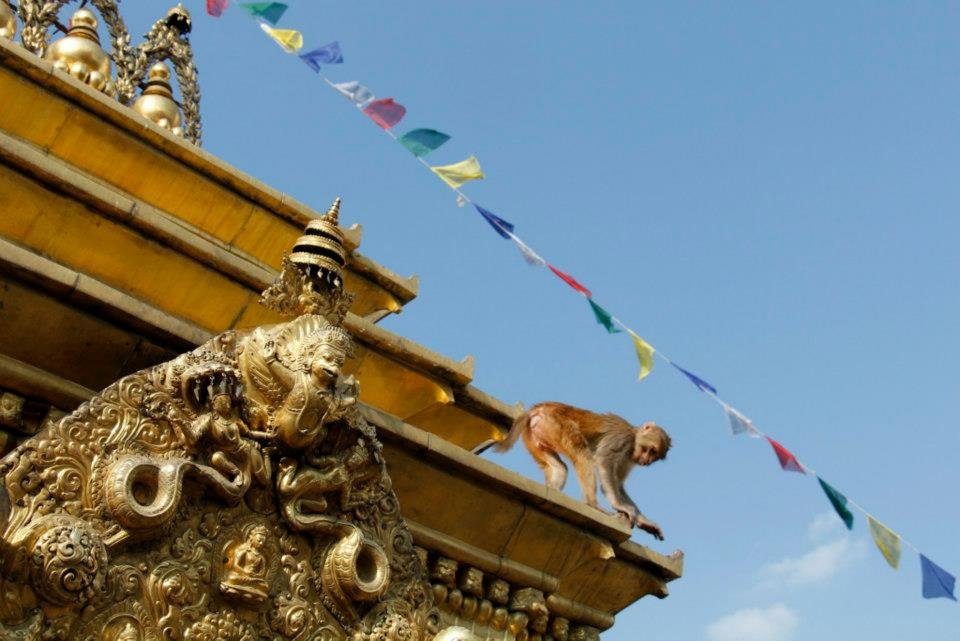 Kathmandu - Monkey Temple 7.jpeg