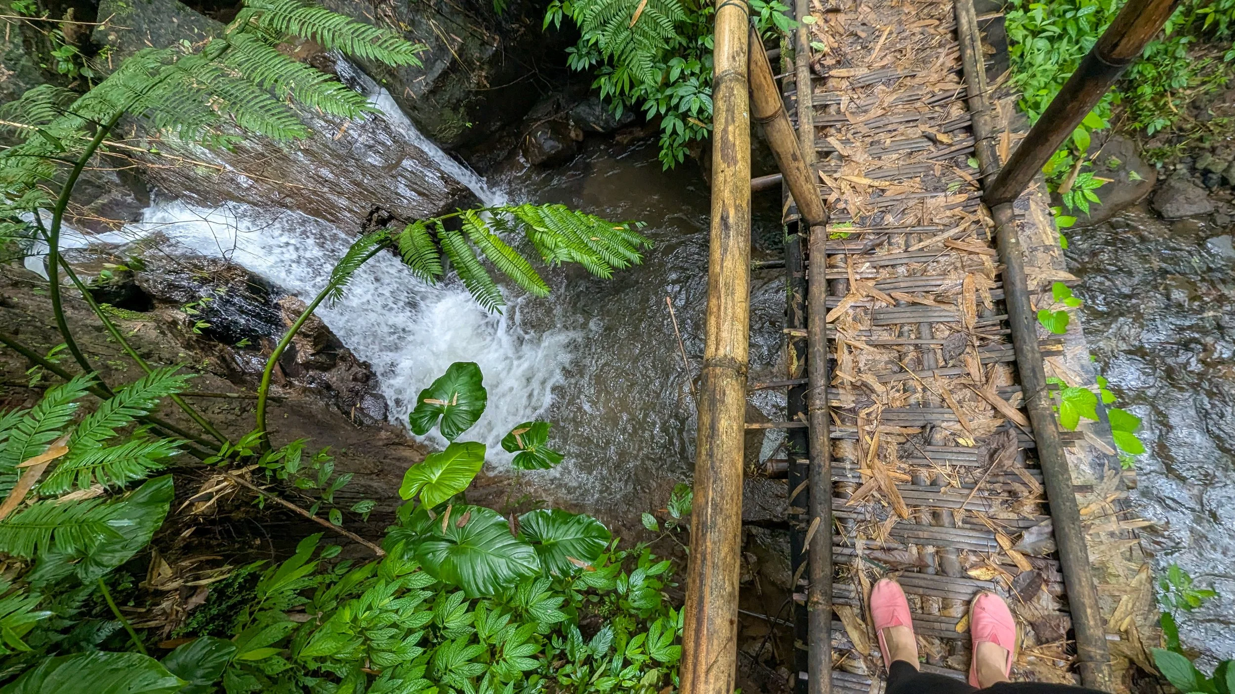 A POV show shows pink toms shoes standing on a narrow bamboo bridge with a small waterfall below and lots of green foliage