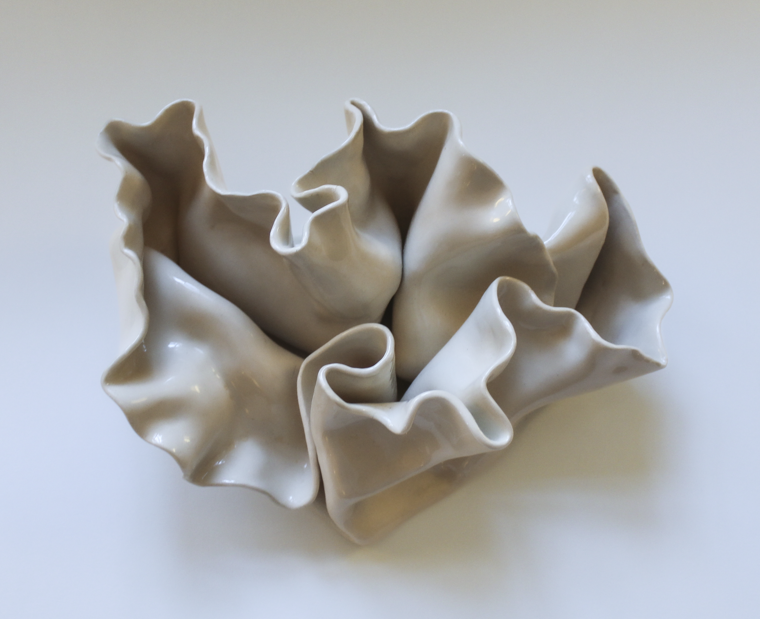 IMG_7231.png