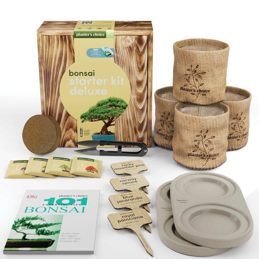 Bonsai Grow Kit