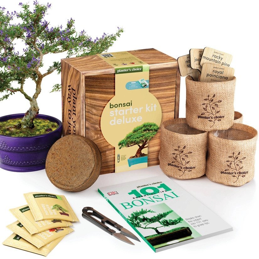 Bonsai Grow Kit | The Pot City