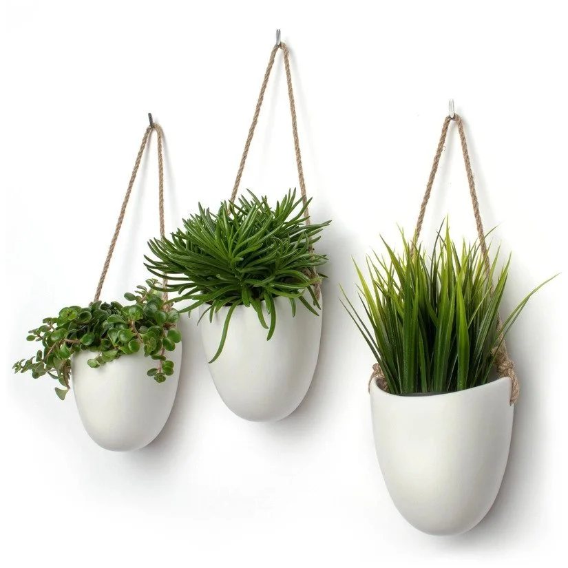 Wall Bird Pot Set | The Pot City