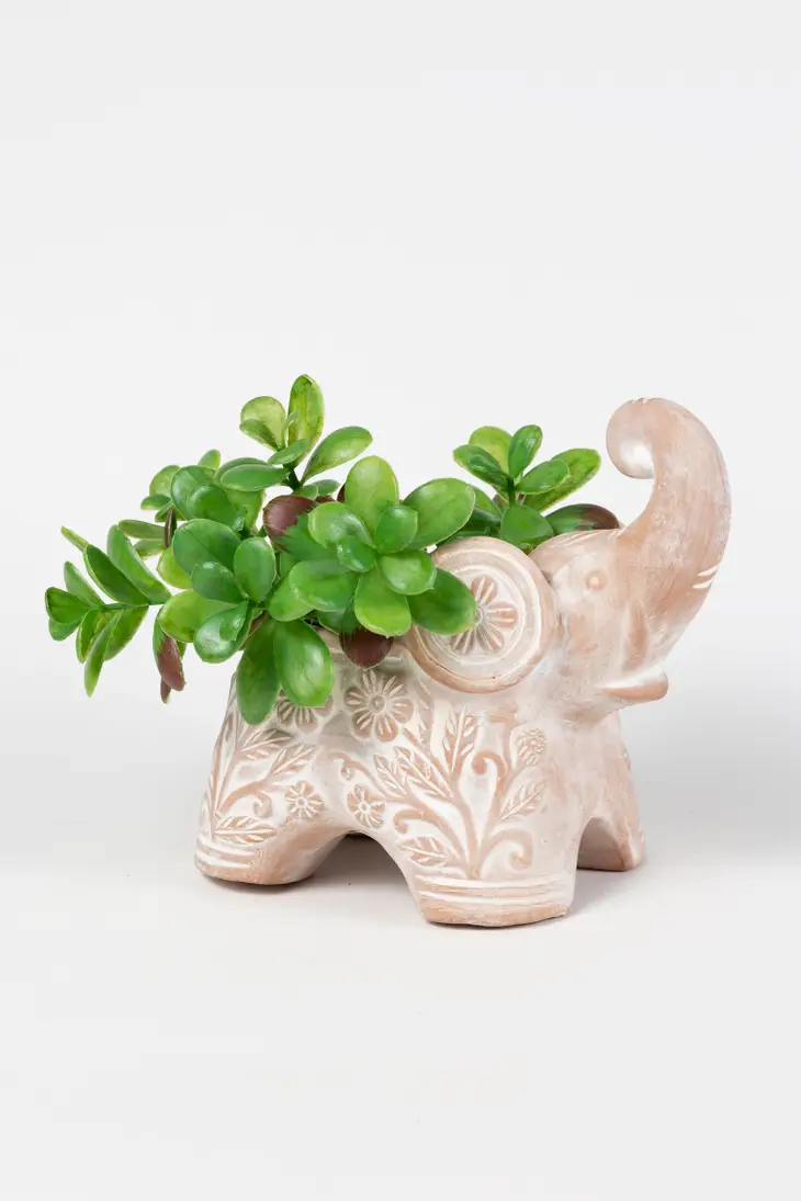 12 inch plastic planter Clear Plastic Pot 12cm / Single main image 1