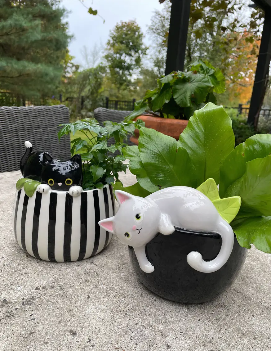 Playful Grey Kitty Pot | The Pot City