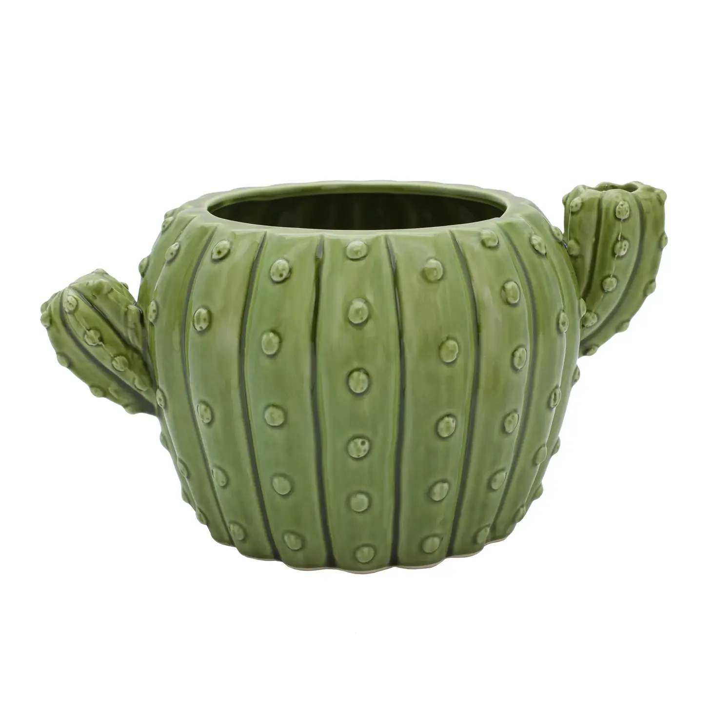 Cactus Flower Pot