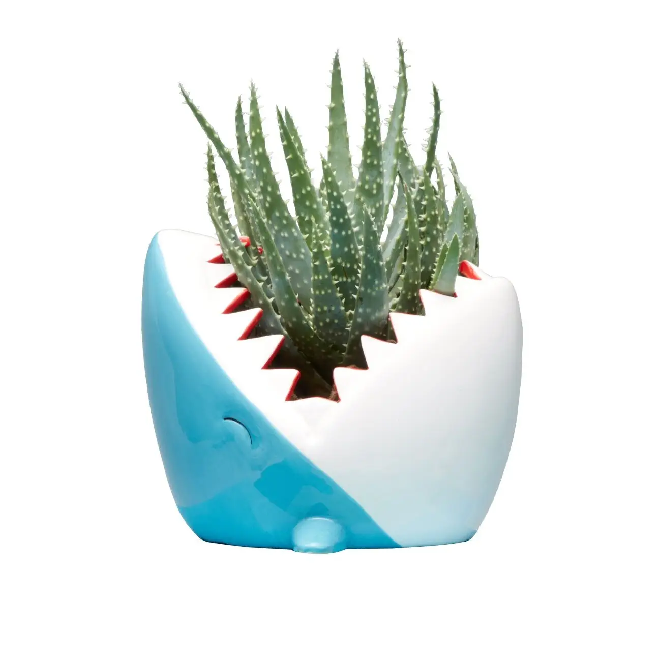 Shark Pot