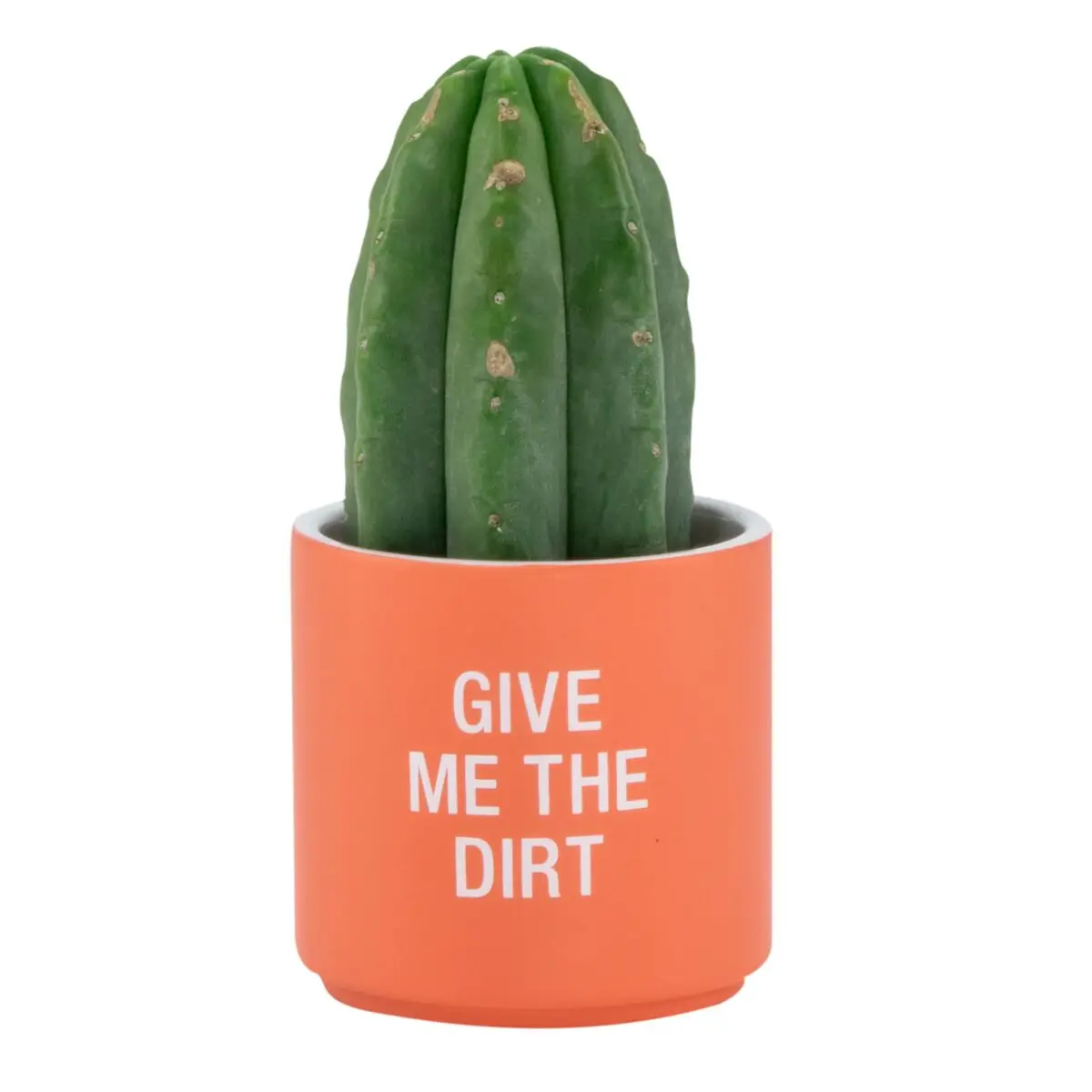 Give Me the Dirt Small | The Pot City
