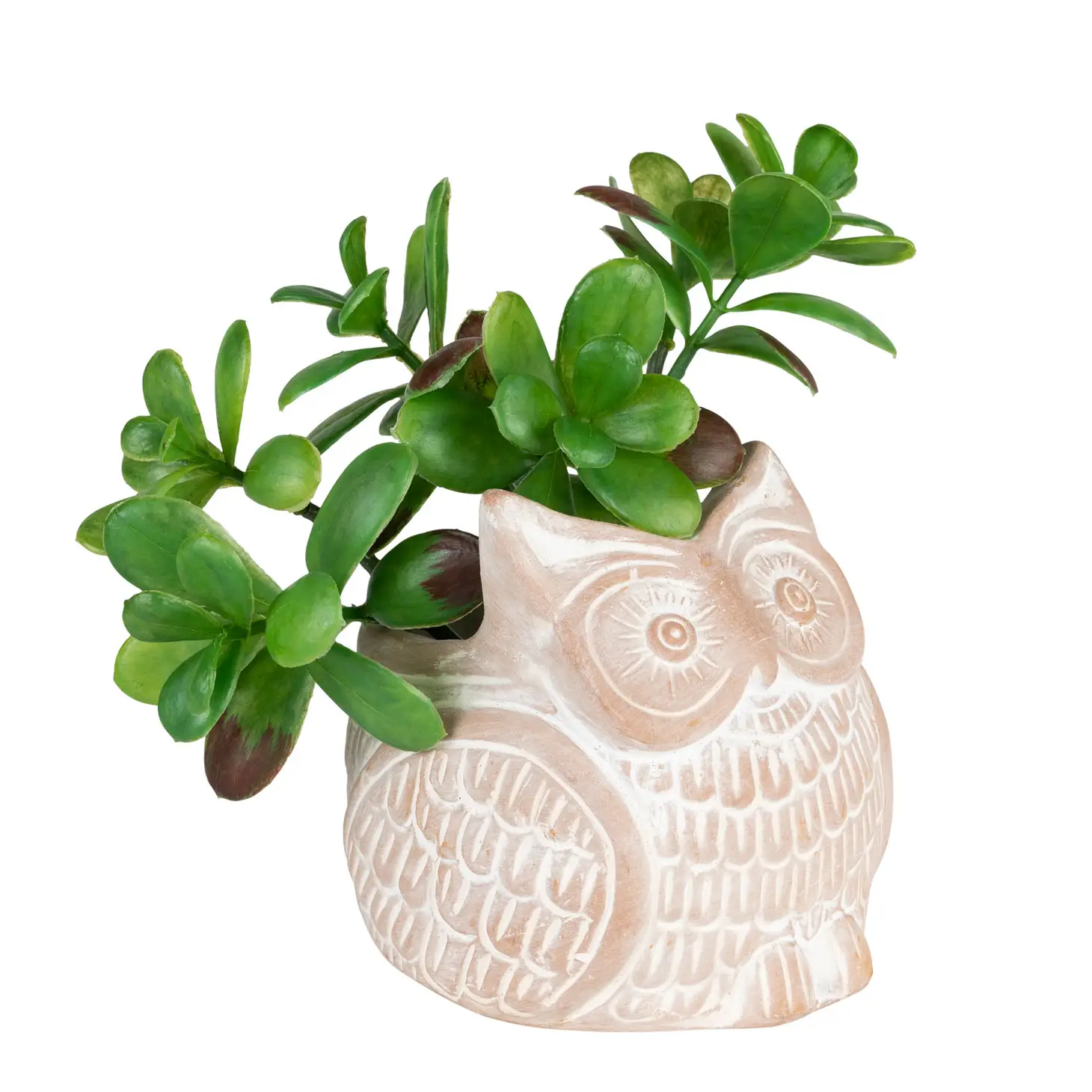 Terracotta Owl