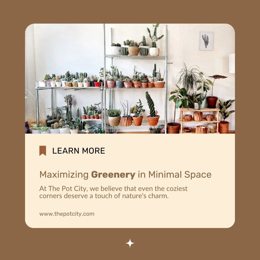 Running out of space but still want to embrace greenery? 🌿 
🌱 Bathroom Beauties: Add low-light, humidity-loving plants like Snake Plant and Peace Lily to create your own private oasis. 🚿🌱
🌱 Hanging Marvels: Elevate your decor with trailing beaut