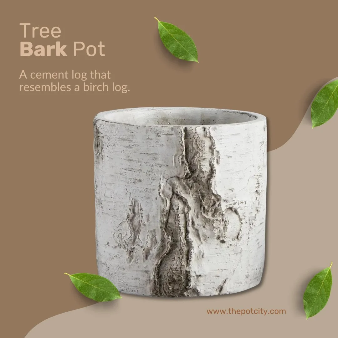 This Tree Bark Pot is the perfect blend of nature and durability! With its cement body designed to look like a birch log, it's a unique and stylish way to display your plants. 
Ready to bring a rustic vibe into your home? 🌟 Check it out at our websi