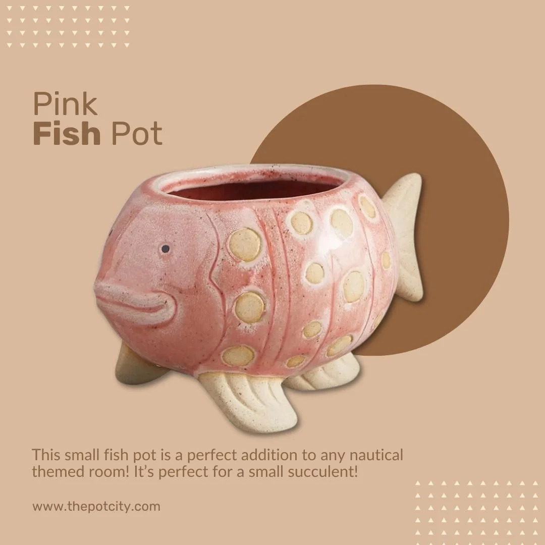 Why swim with the fish when you can plant in one?🐟🌱 
This adorable Pink Fish Pot is the perfect addition to any nautical-themed room and is just the right size for a cute little succulent. 
Dive into some fun decor with this unique piece from our w