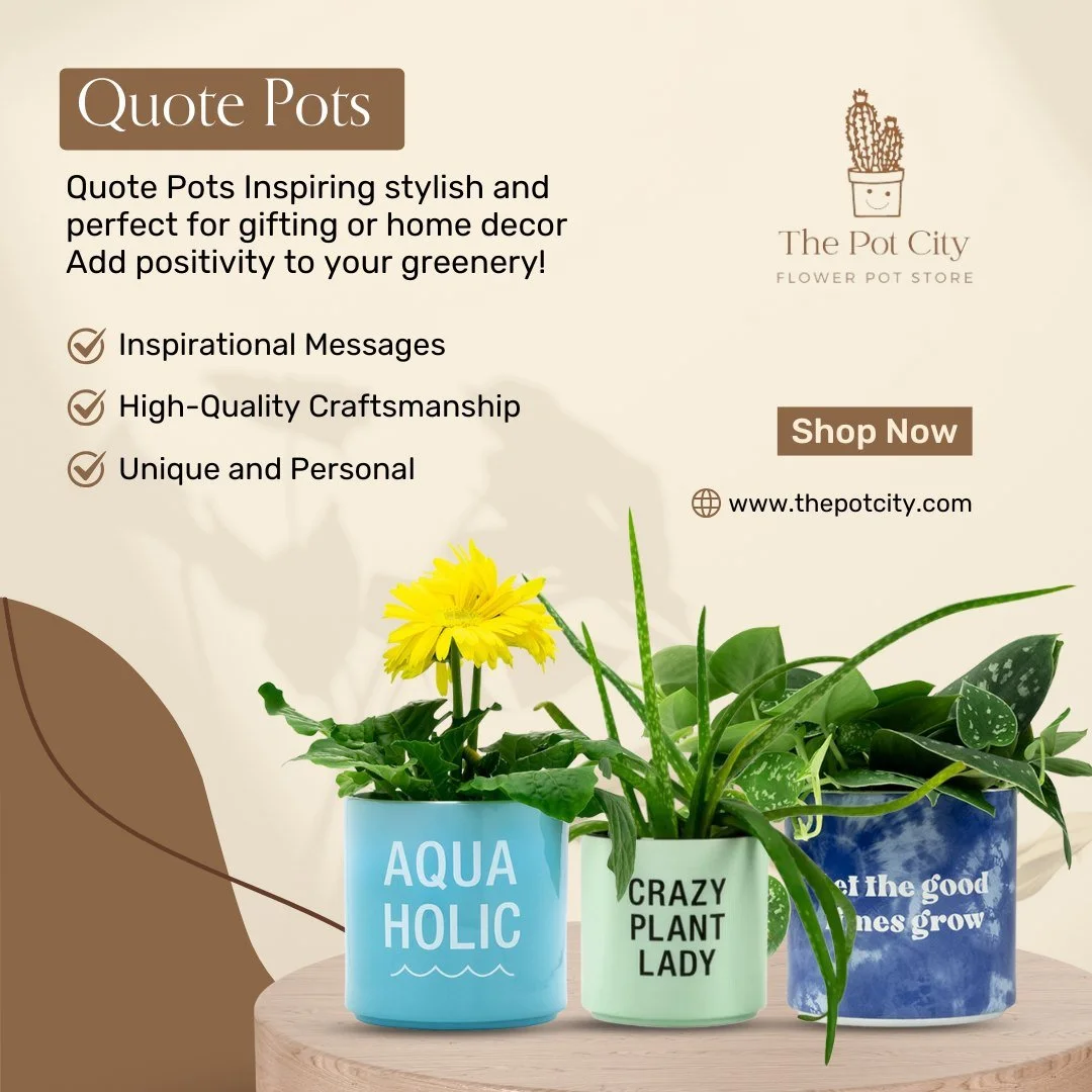 Spread positivity with our Quote Pots! Perfect for gifting or adding a personal touch to your plant display. 🪴

Follow @thepotcity to stay updated on new releases.

#thepotcity #flowerpots #cutepots #smallbusiness #indoorpots #plantlover #indoorplan