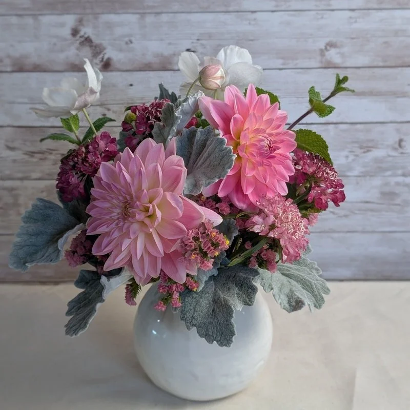 flower vase arrangement highlighting dahlias, scabiosa, anemone and dusty miller