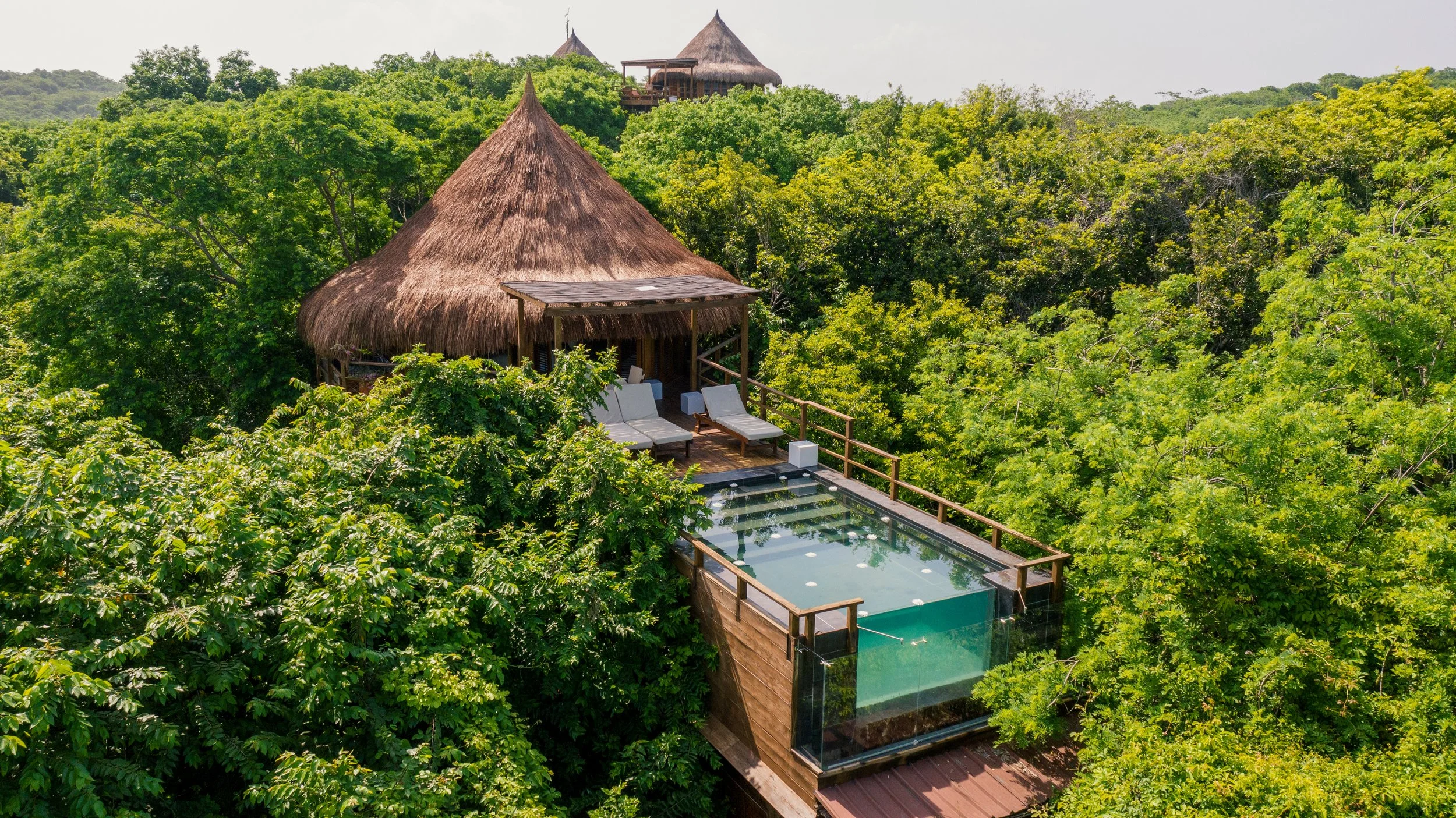tree house.jpg