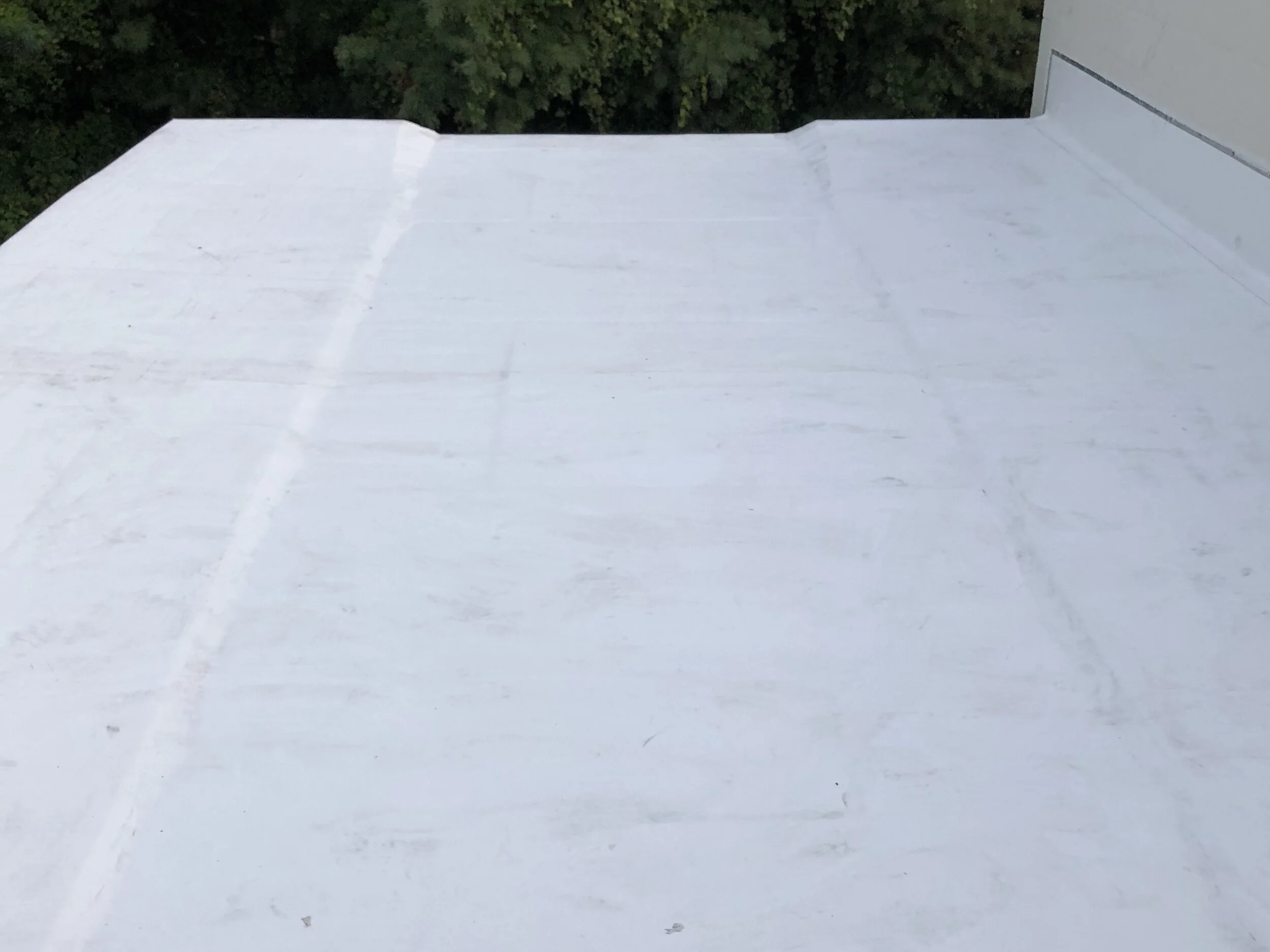 White flat roof with visible seams and slight texture, partially surrounded by green trees and a section of gray wall.