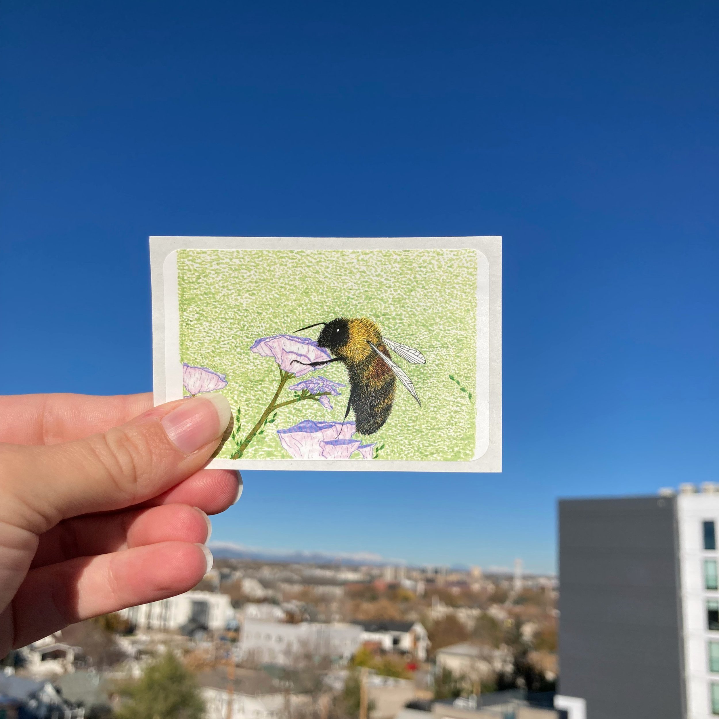 Rusty+patched+bumble+bee+sticker.jpg