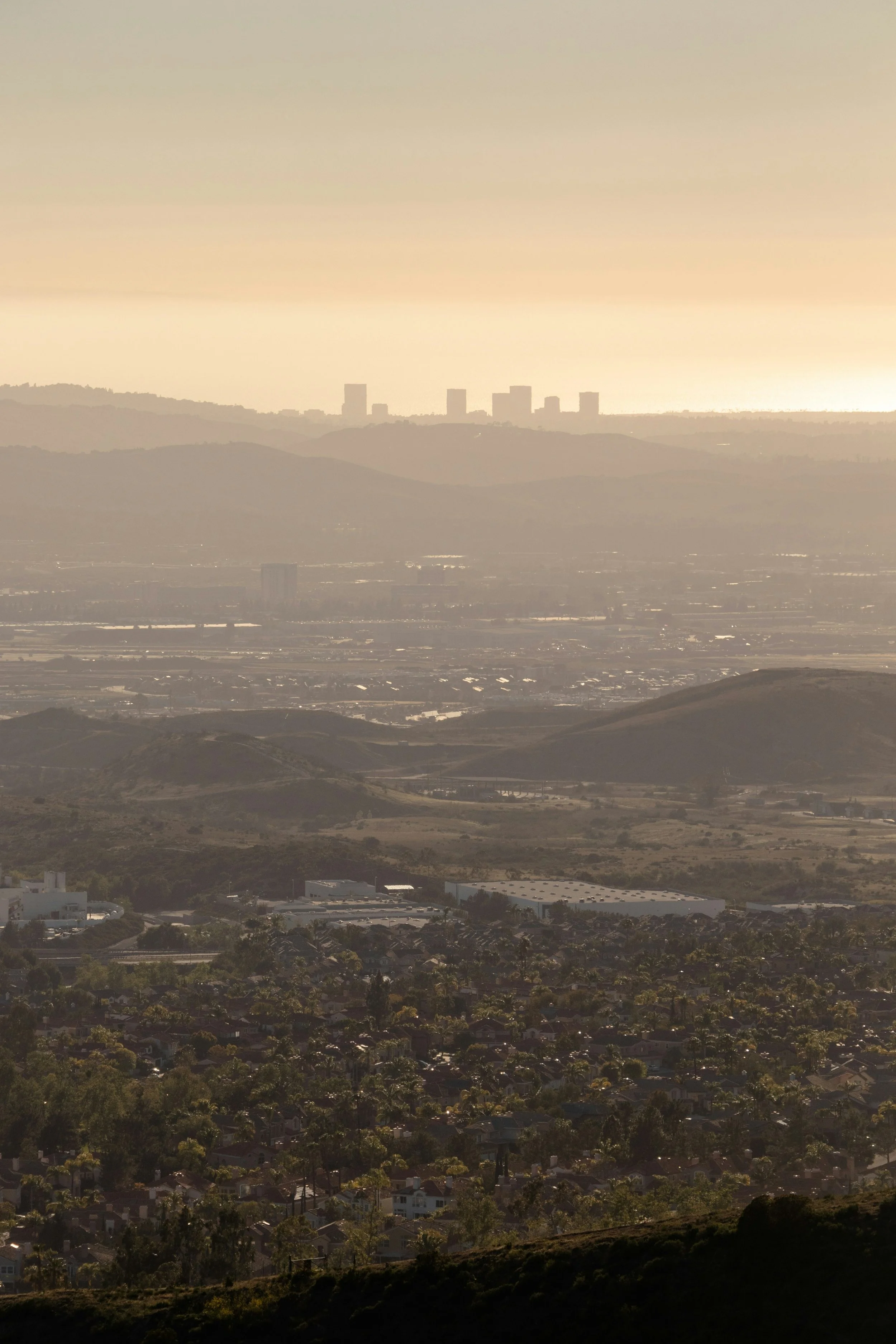 View of a cityscape with a suburban area in the foreground and high-rise buildings in the distance, under a hazy sky.