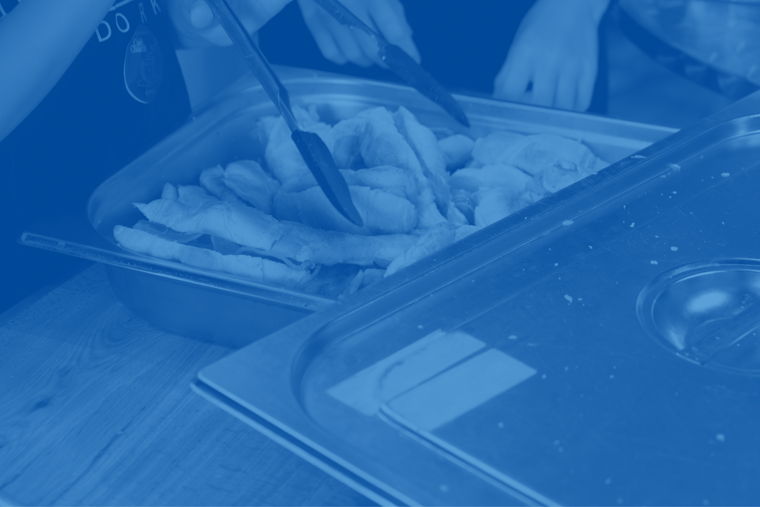 duotone (13) (1).png
