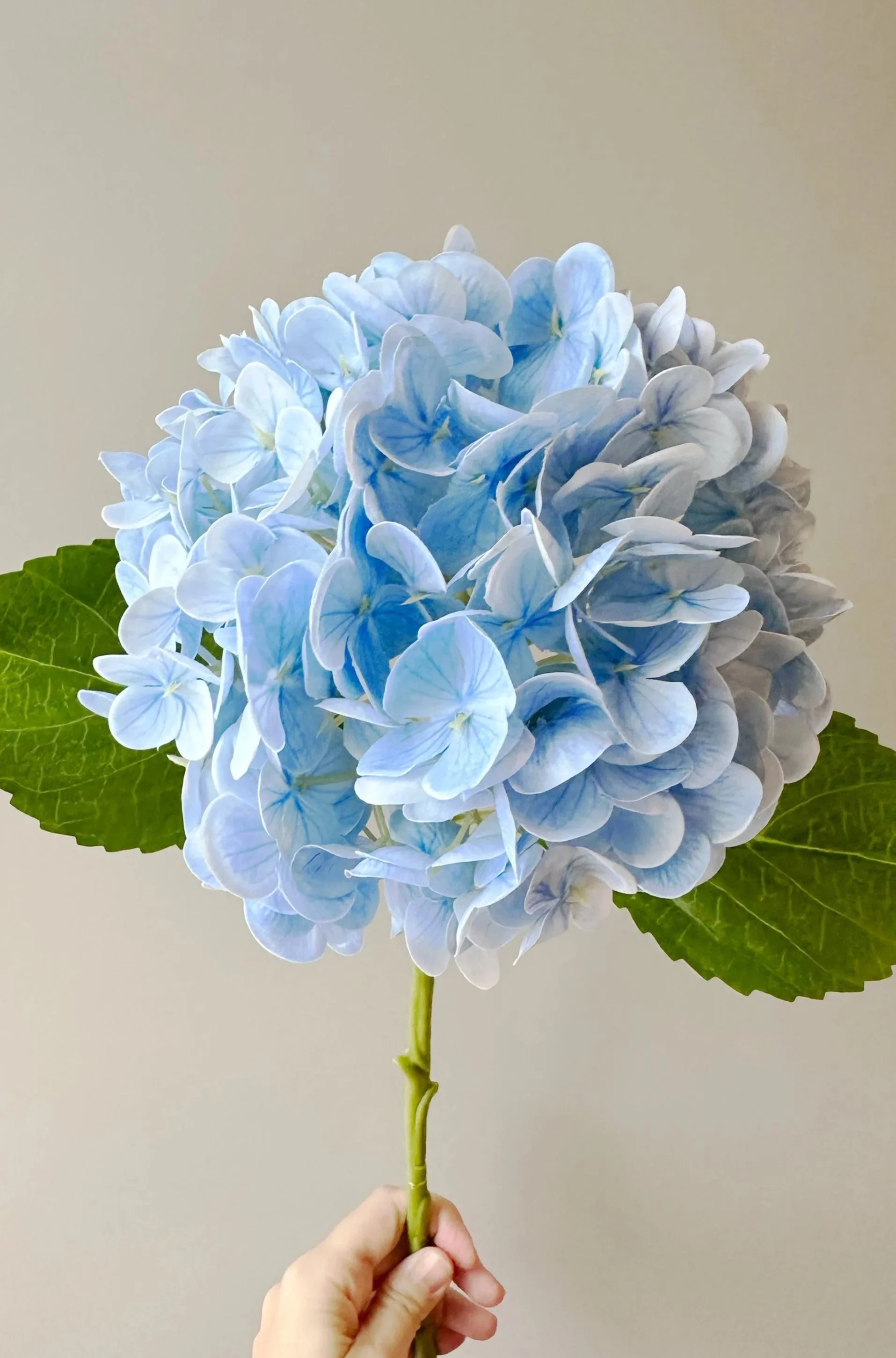 Hand holding a light blue artificial hydrangea
