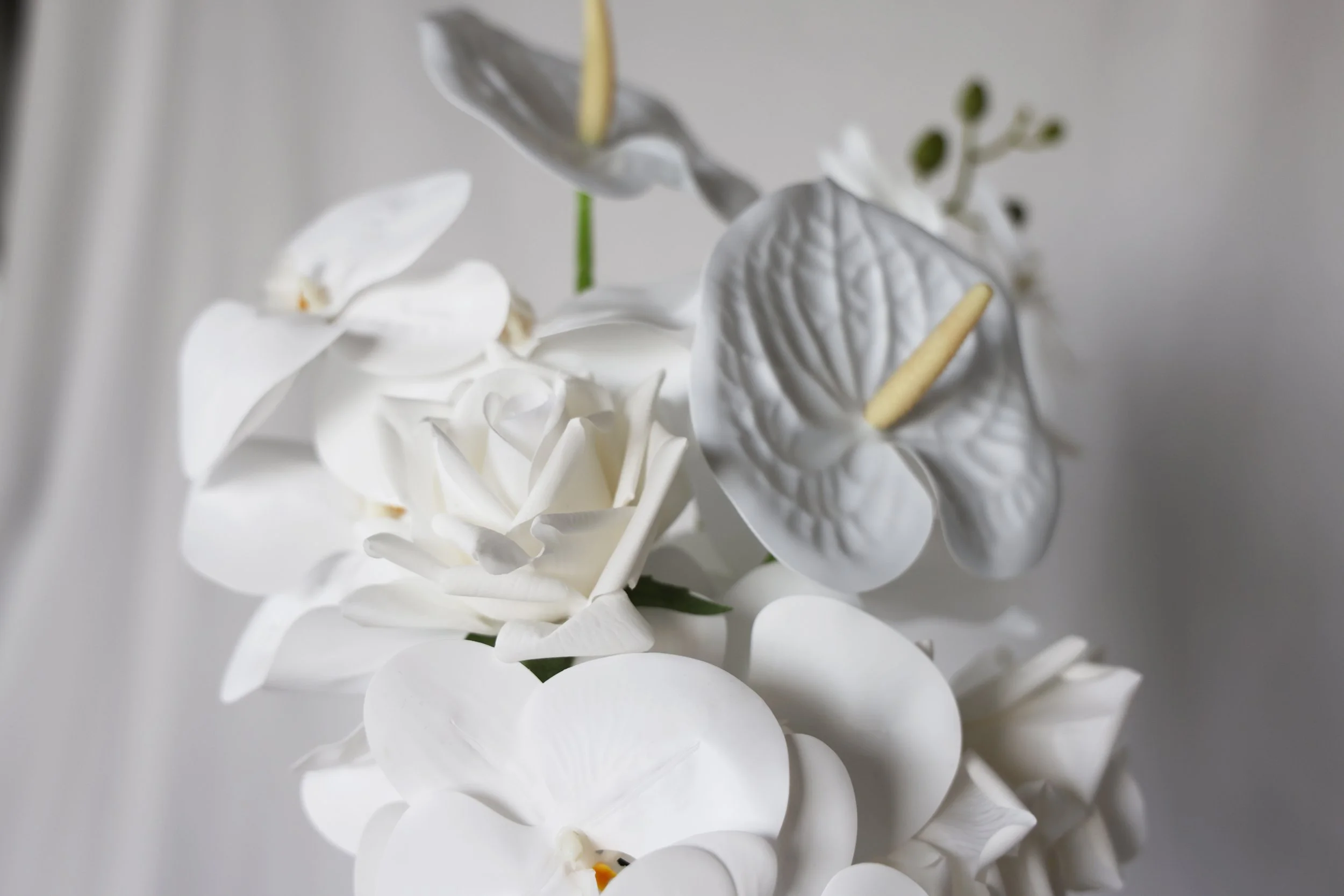 White anthurium flowers and a white rose bloom