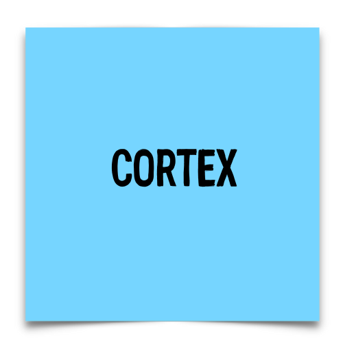 CORTEX.png