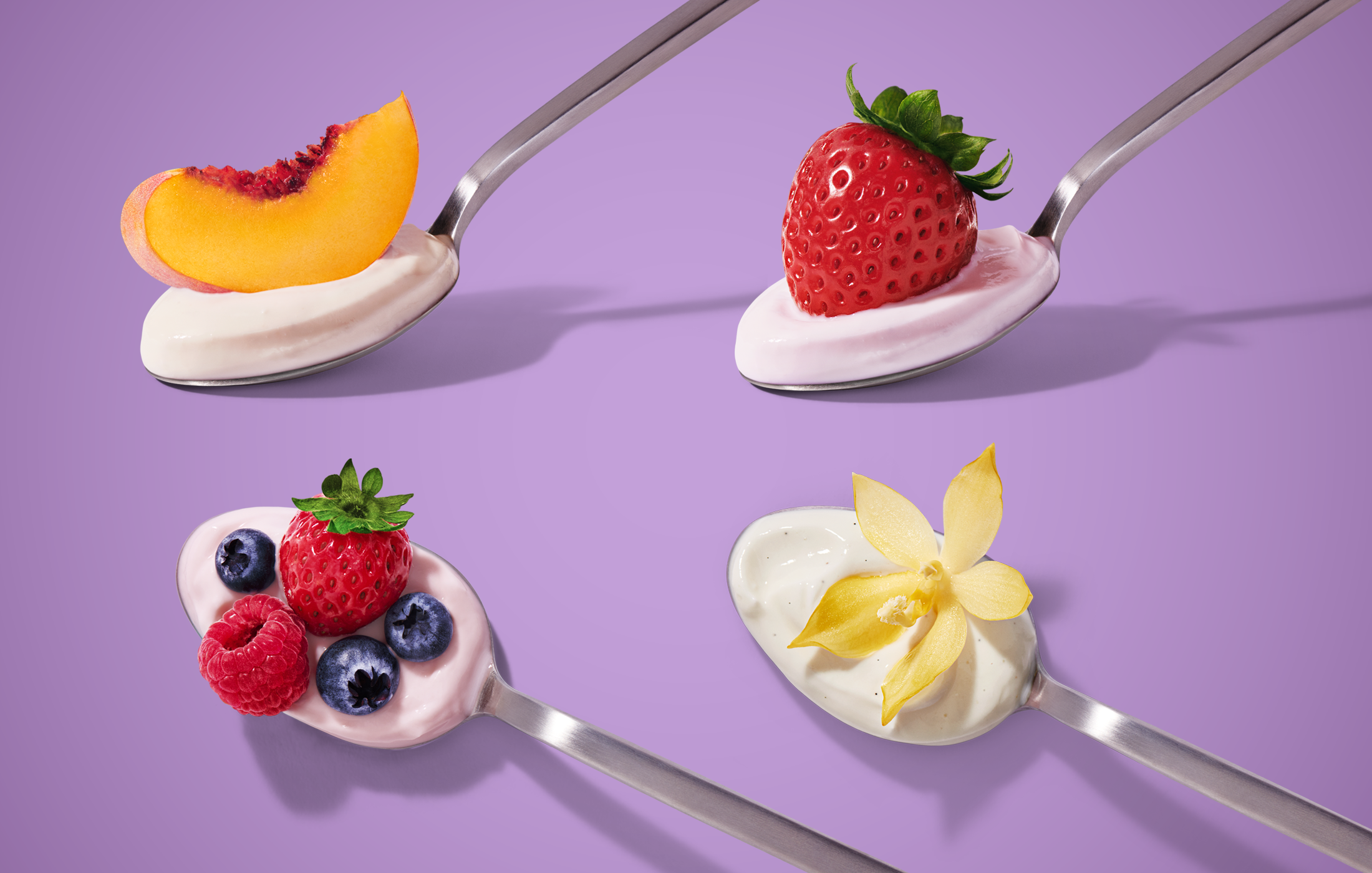 LnF_Zero_Photogaphy copy.png