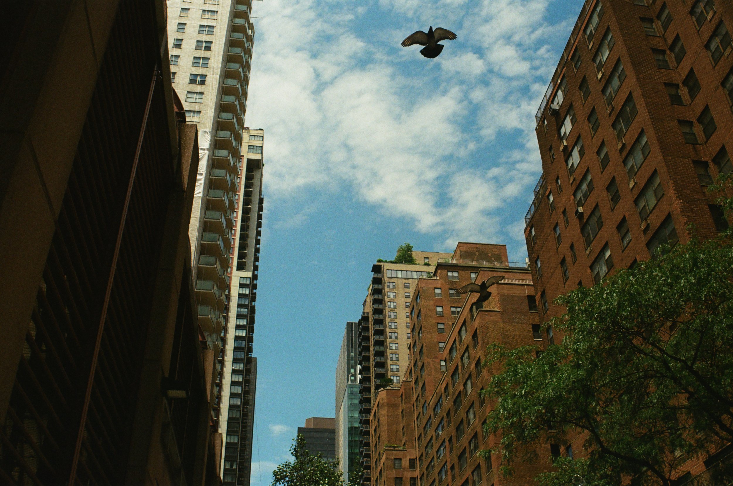 New York, July 2023
