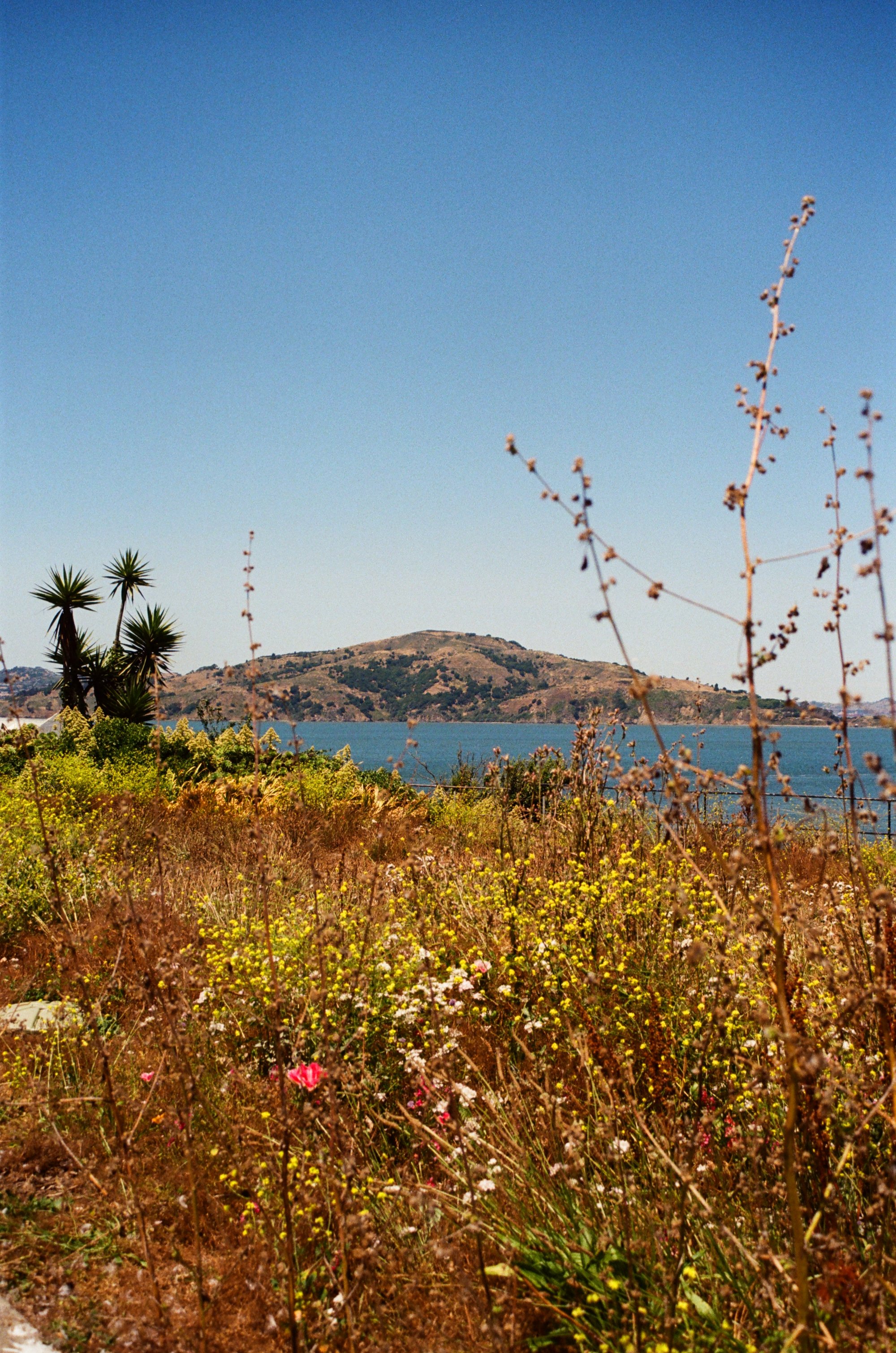 San Francisco, June 2023