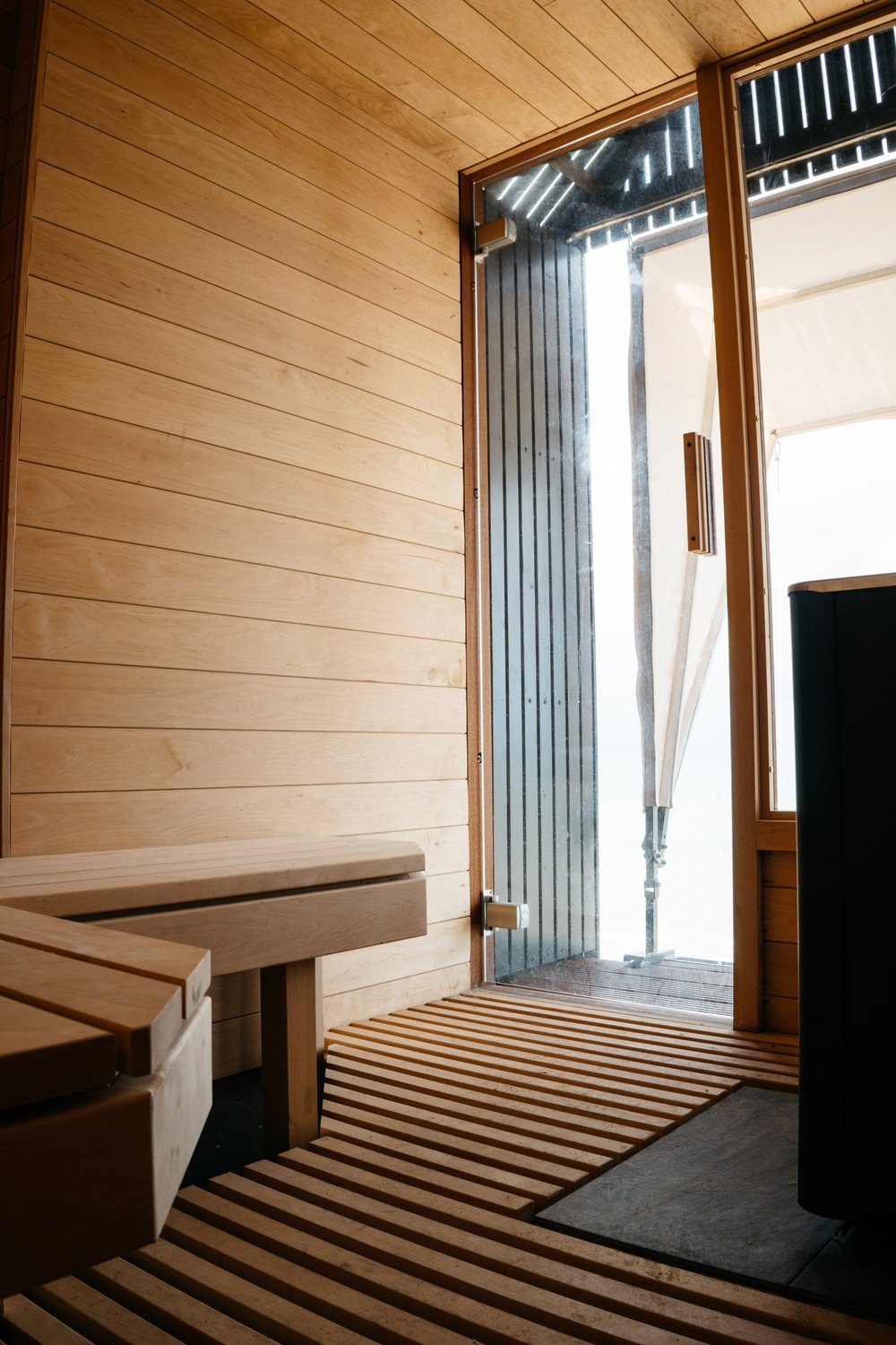 Haeckel's sauna