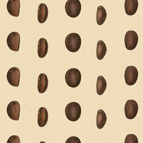 LAZYGAL COFFEE
