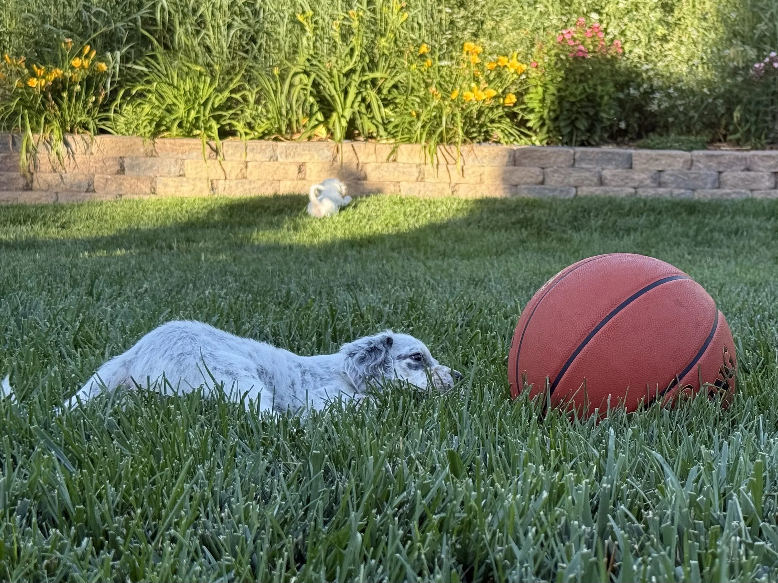 IMG_2634.jpeg