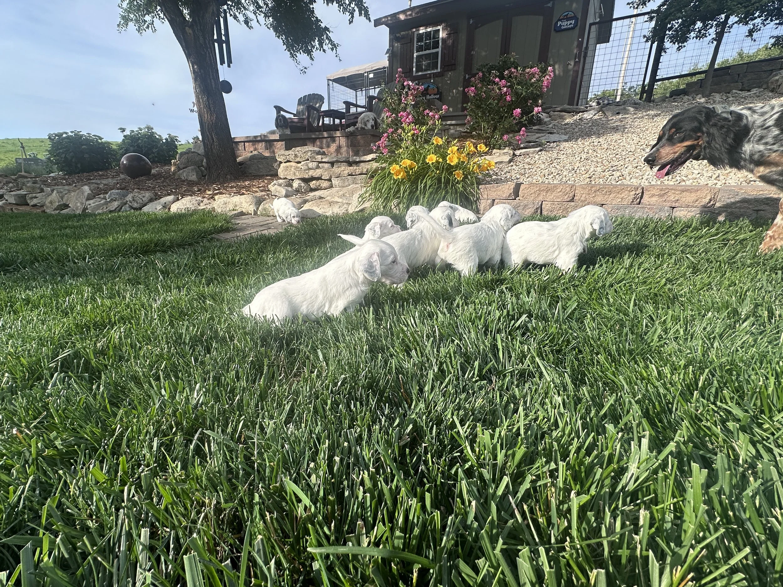 IMG_1090.JPG