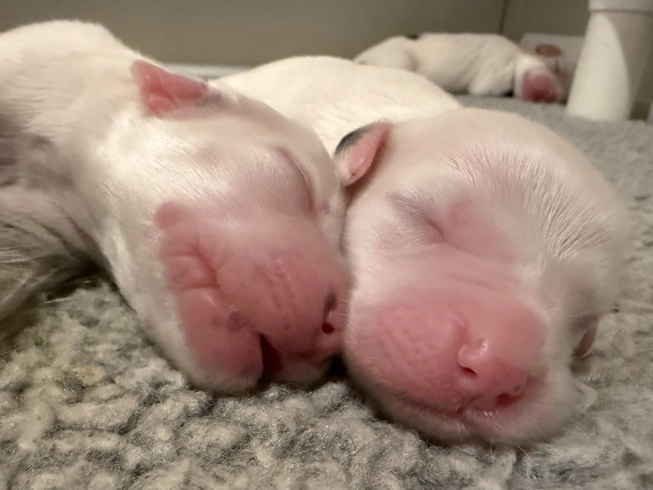1-7.jpeg