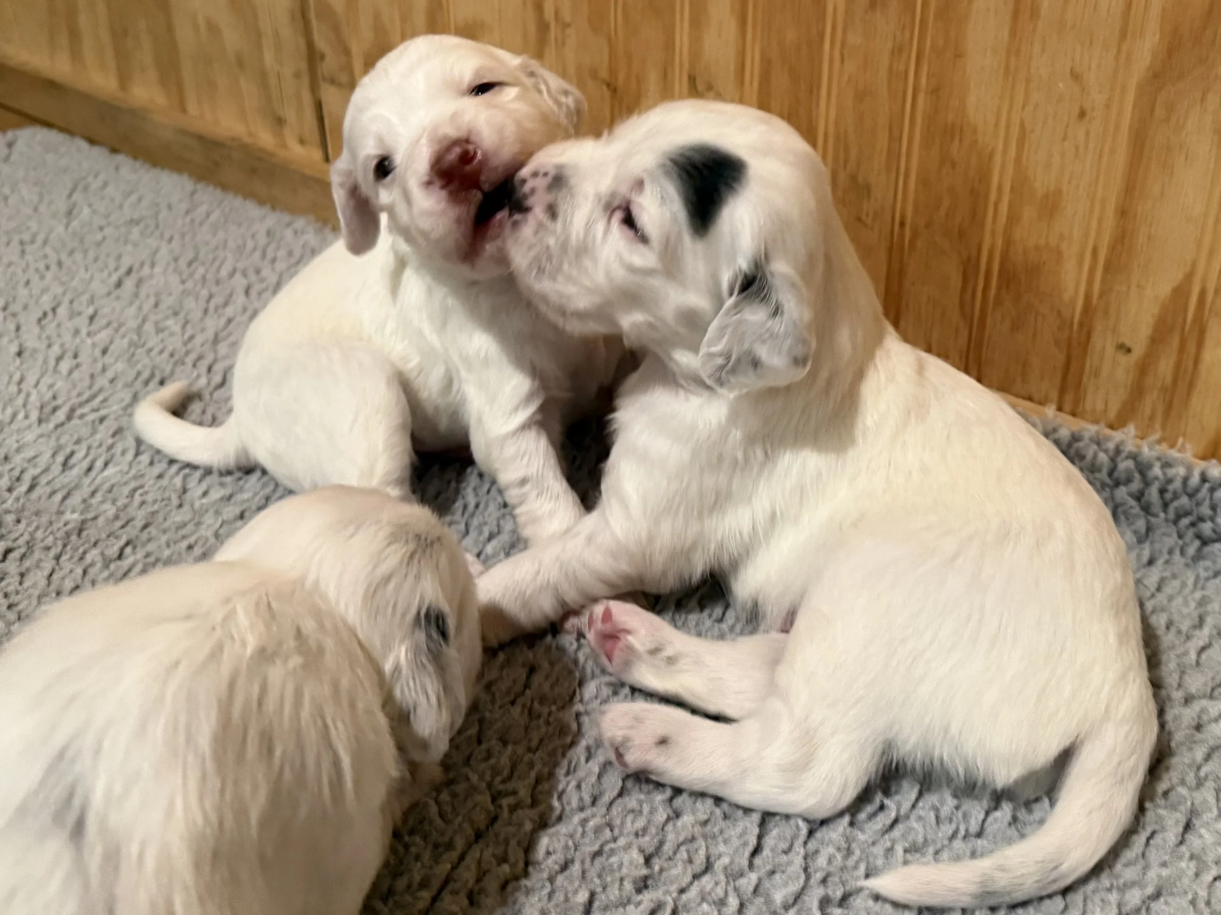 3-9.jpeg