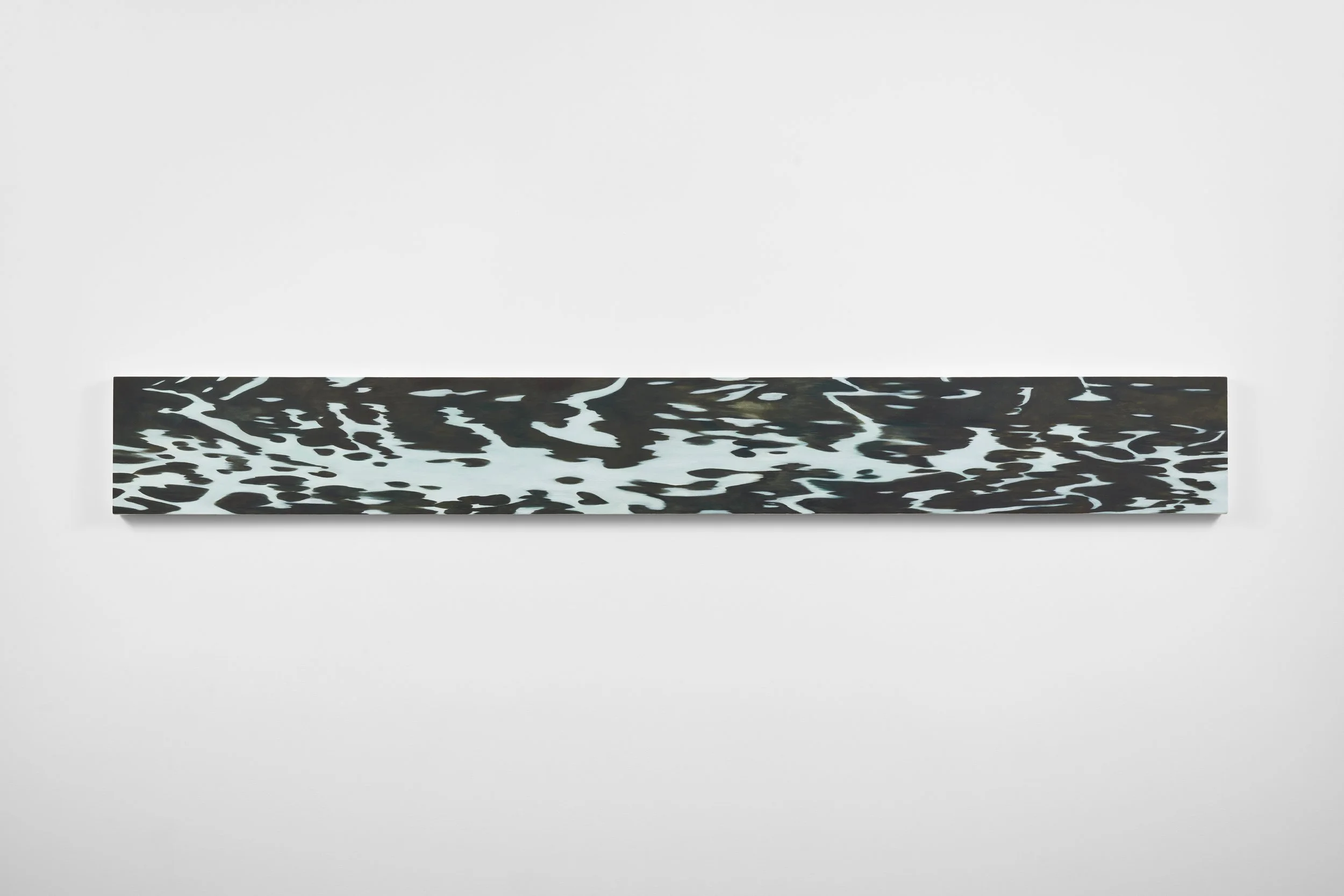 Natural Barrier, 2026 oil on canvas 14 x 114 inches