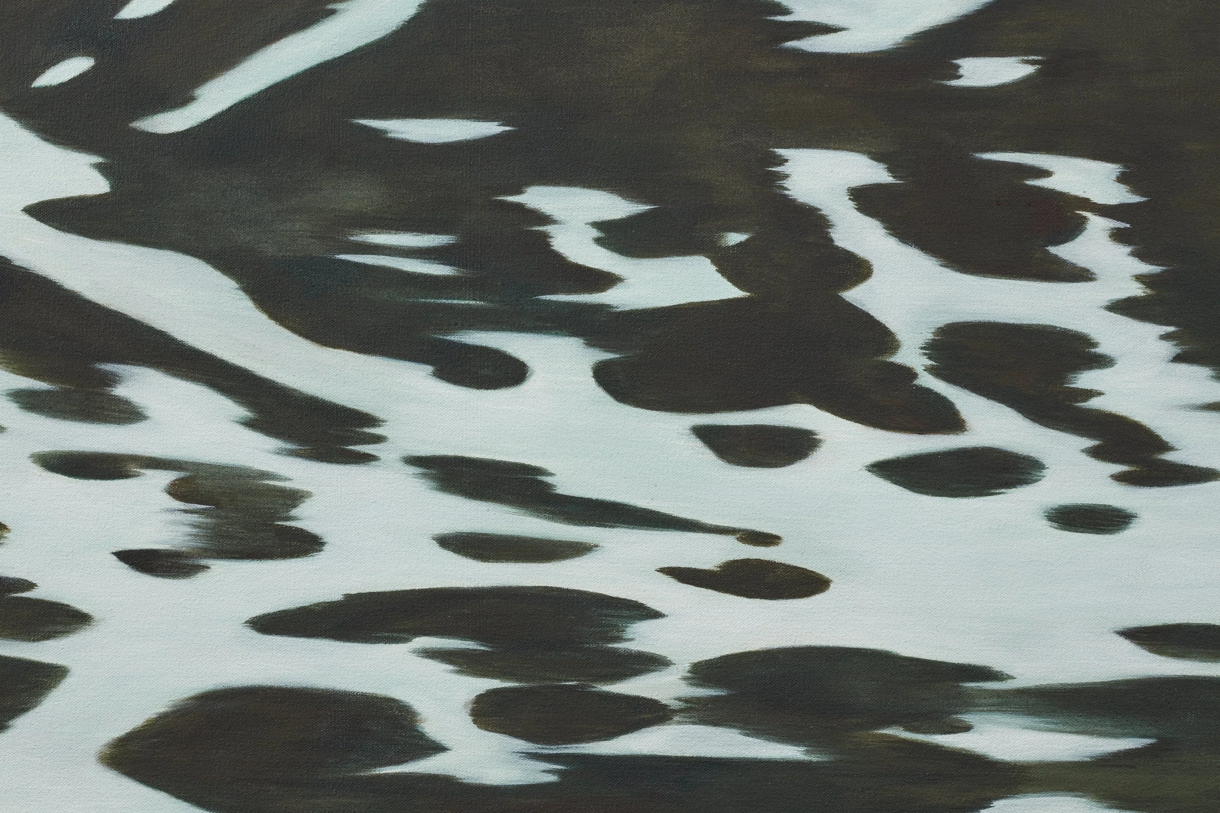Natural Barrier, 2026 (detail)