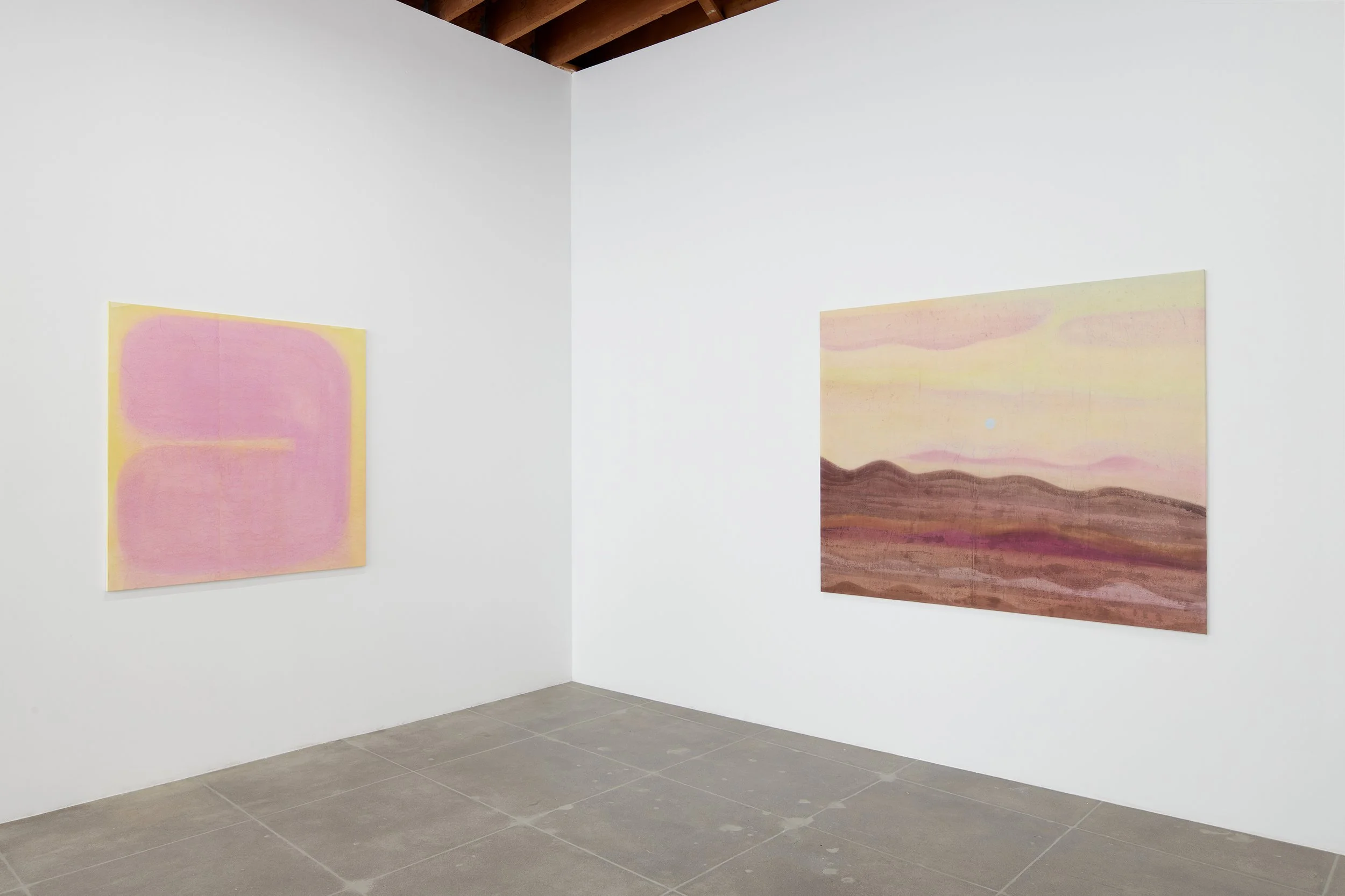Installation view