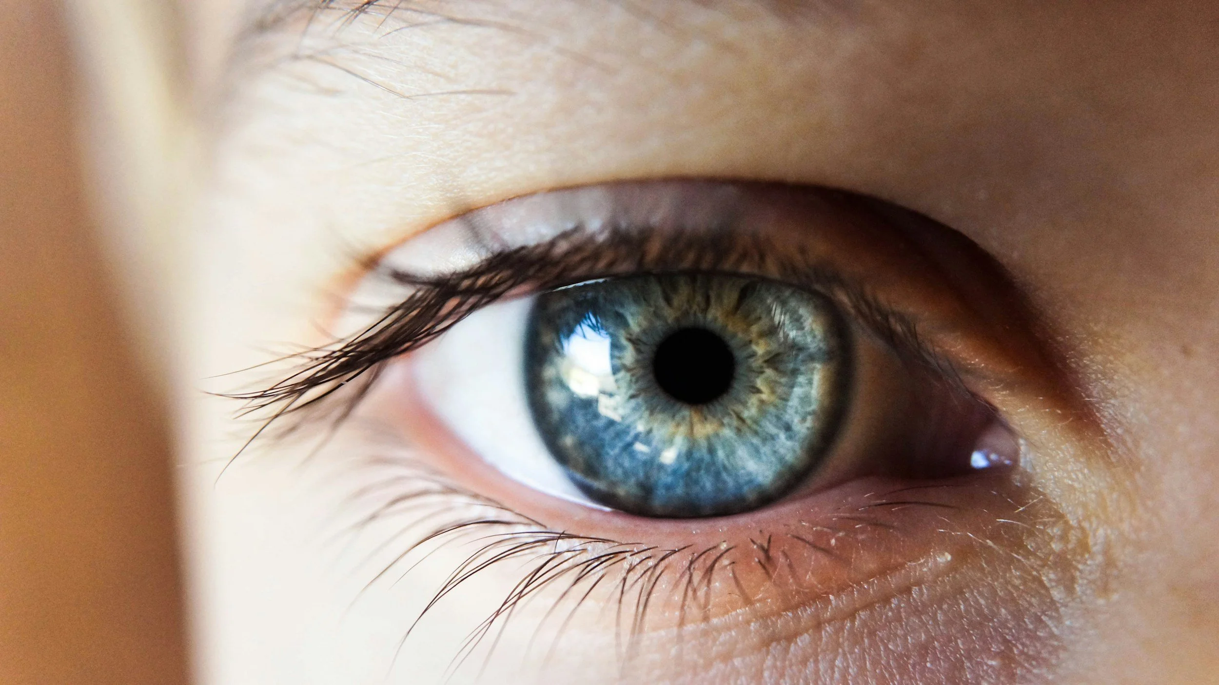 EMDR therapy in Tampa